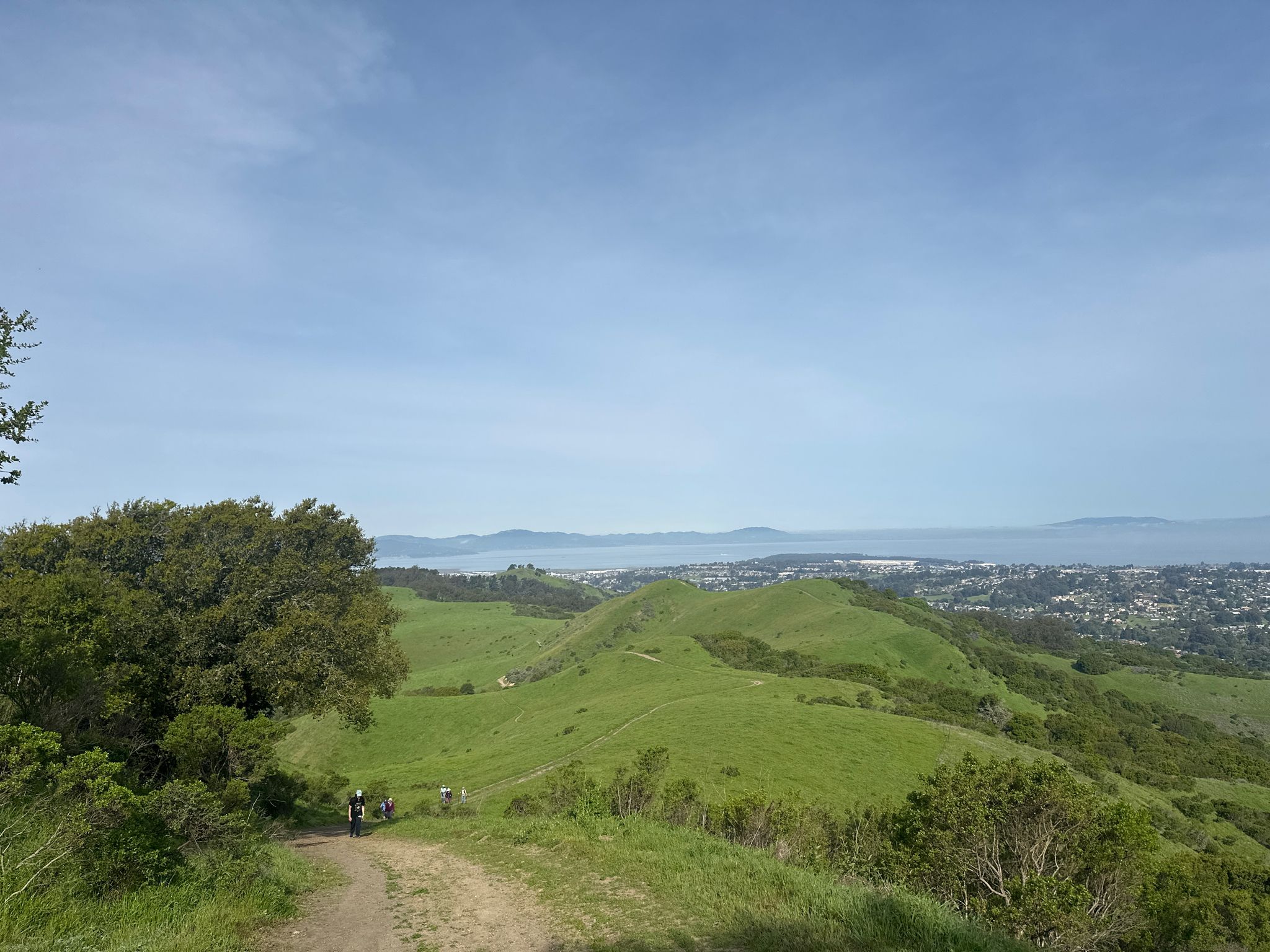 Green rolling hills overlook a distant city and bay under clear skies. - Wildcat Creek, Mezue, San Pablo Ridge and Belgum Loop