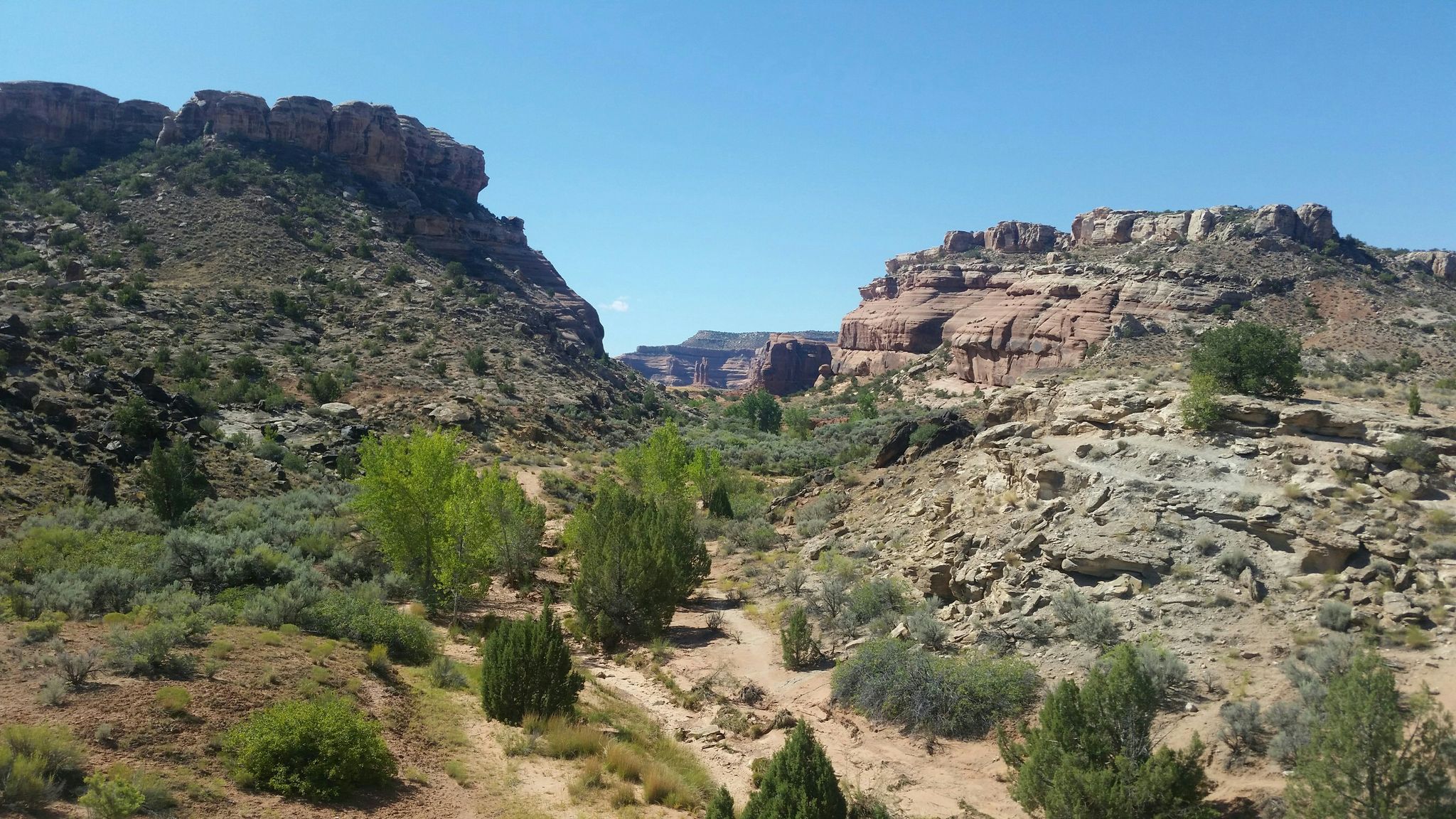 Sunny desert canyon with rocky cliffs, green trees, and clear blue sky. - Mill Canyon Dinosaur Bone Trail