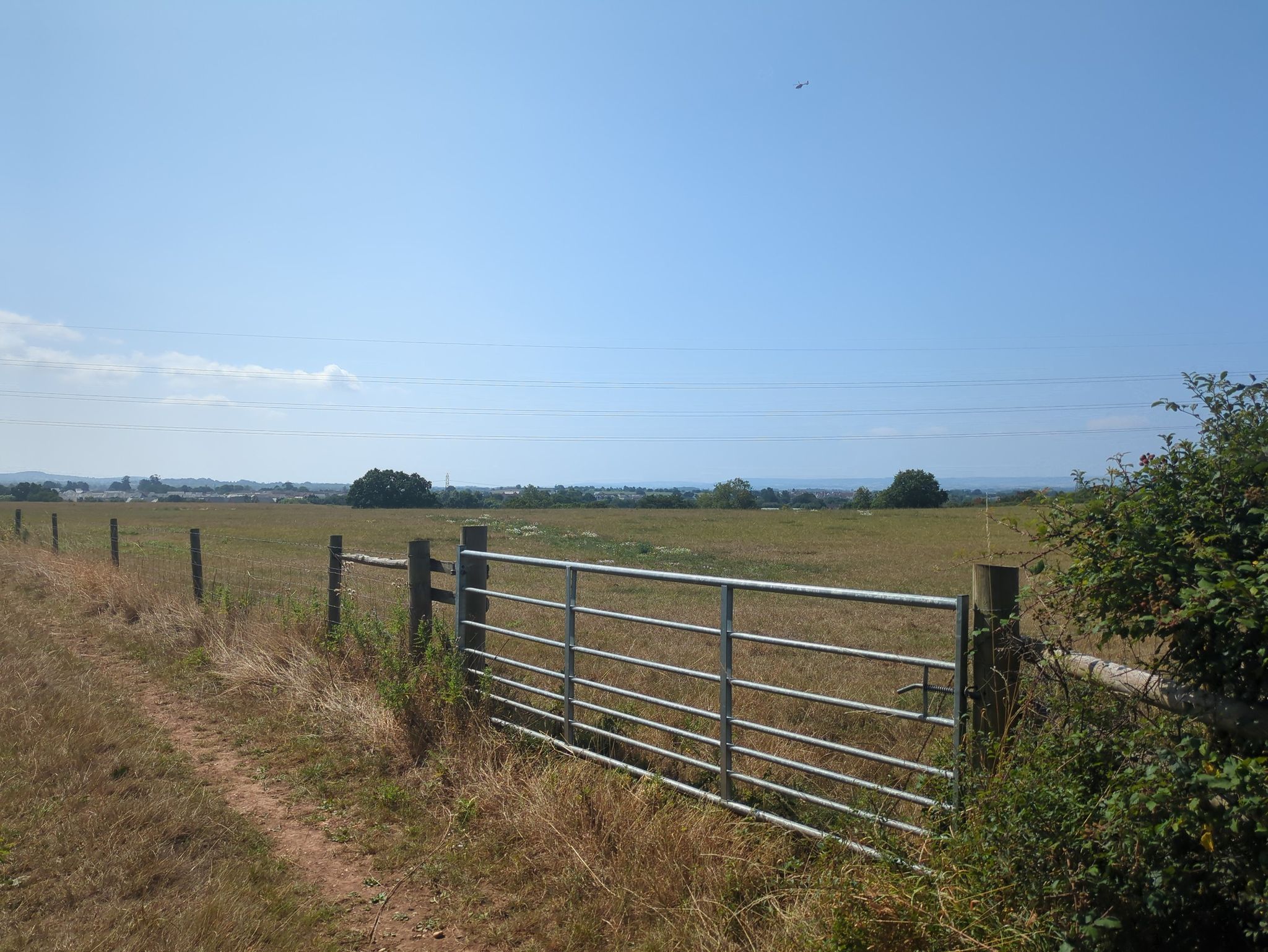 more fields