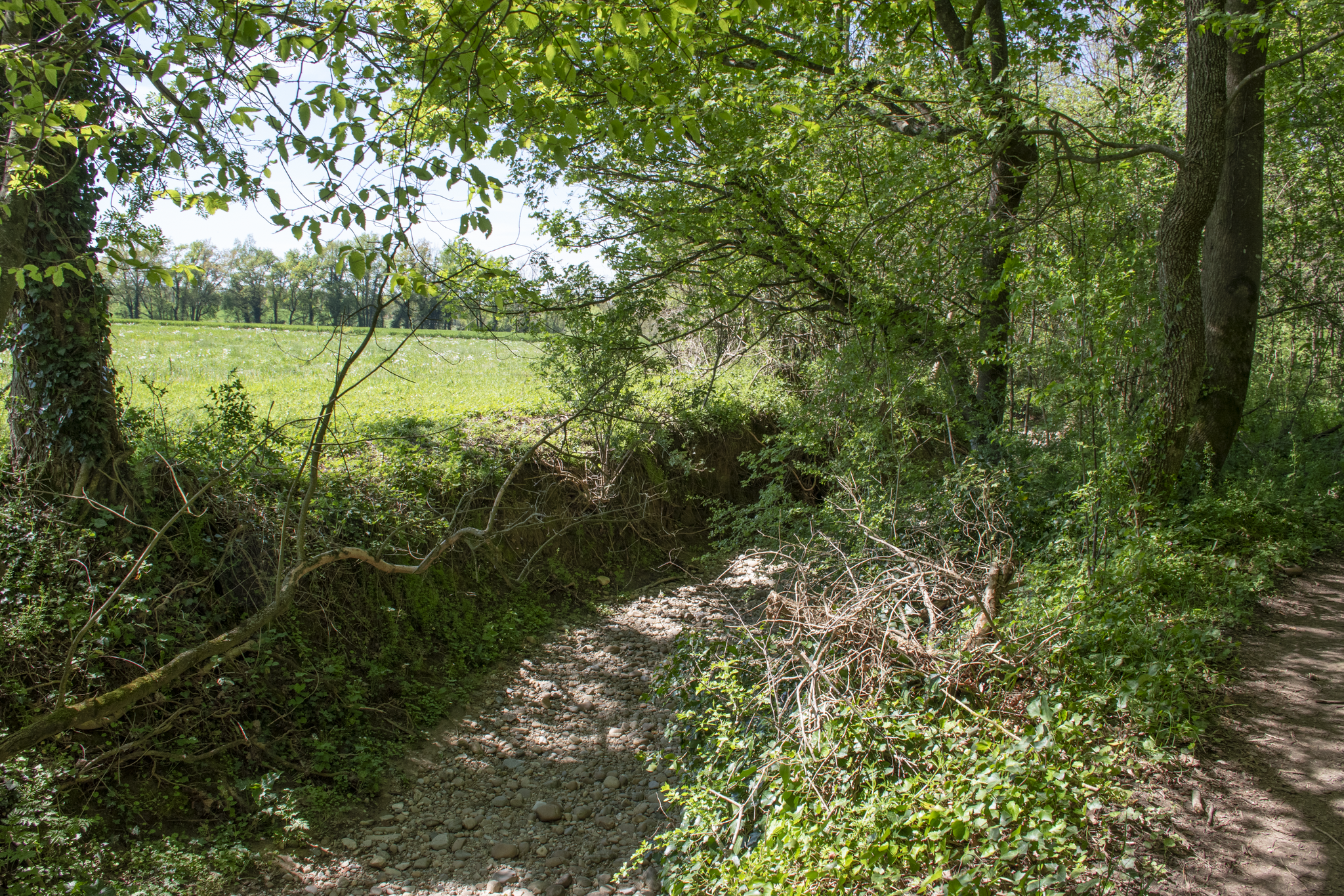 Portion de l'Ozon à sec du côté de Chaponnay