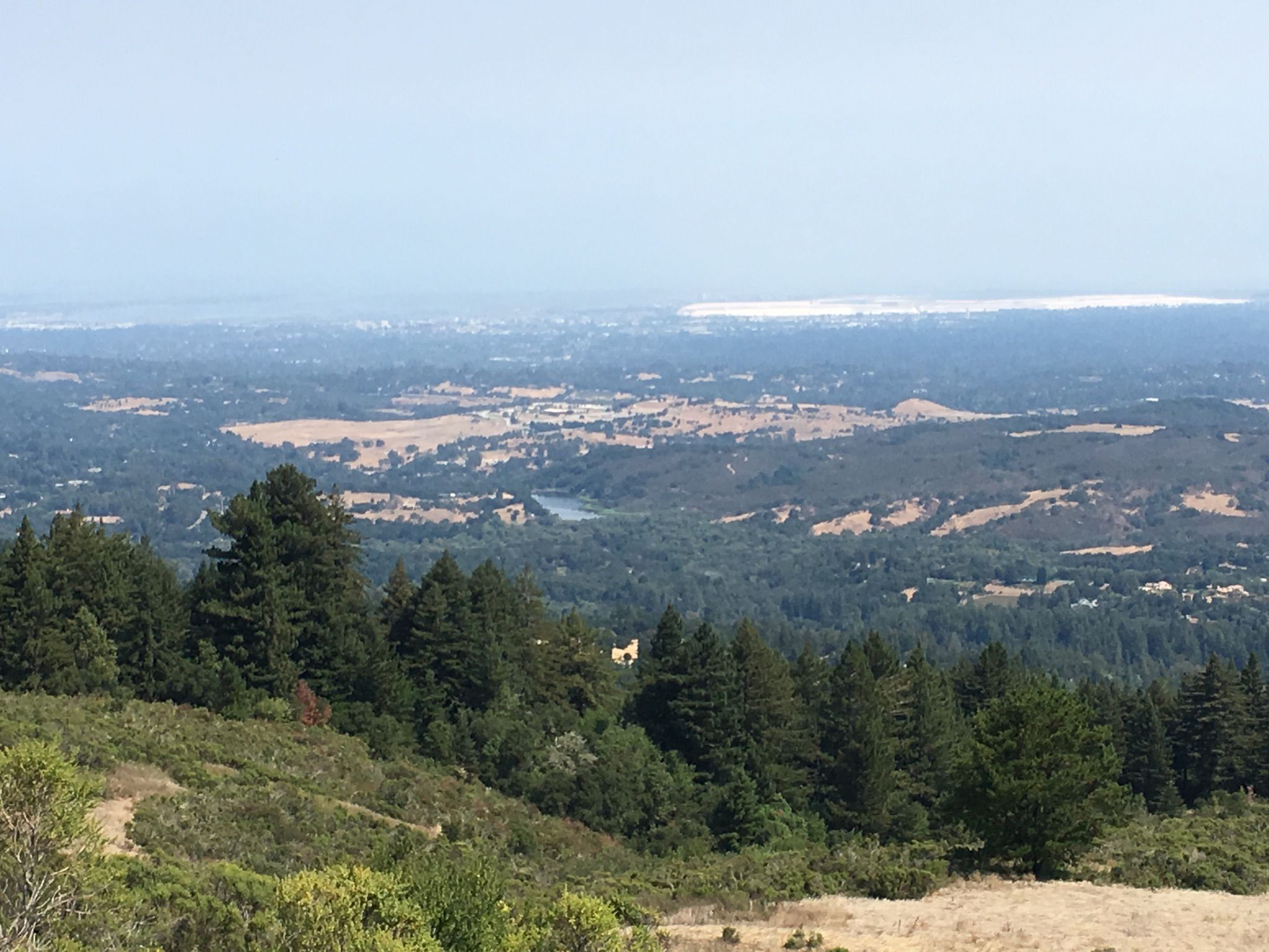 Panoramic view of forested hills, distant water, and a hazy horizon. - Alpine Road loop from Portola Valley