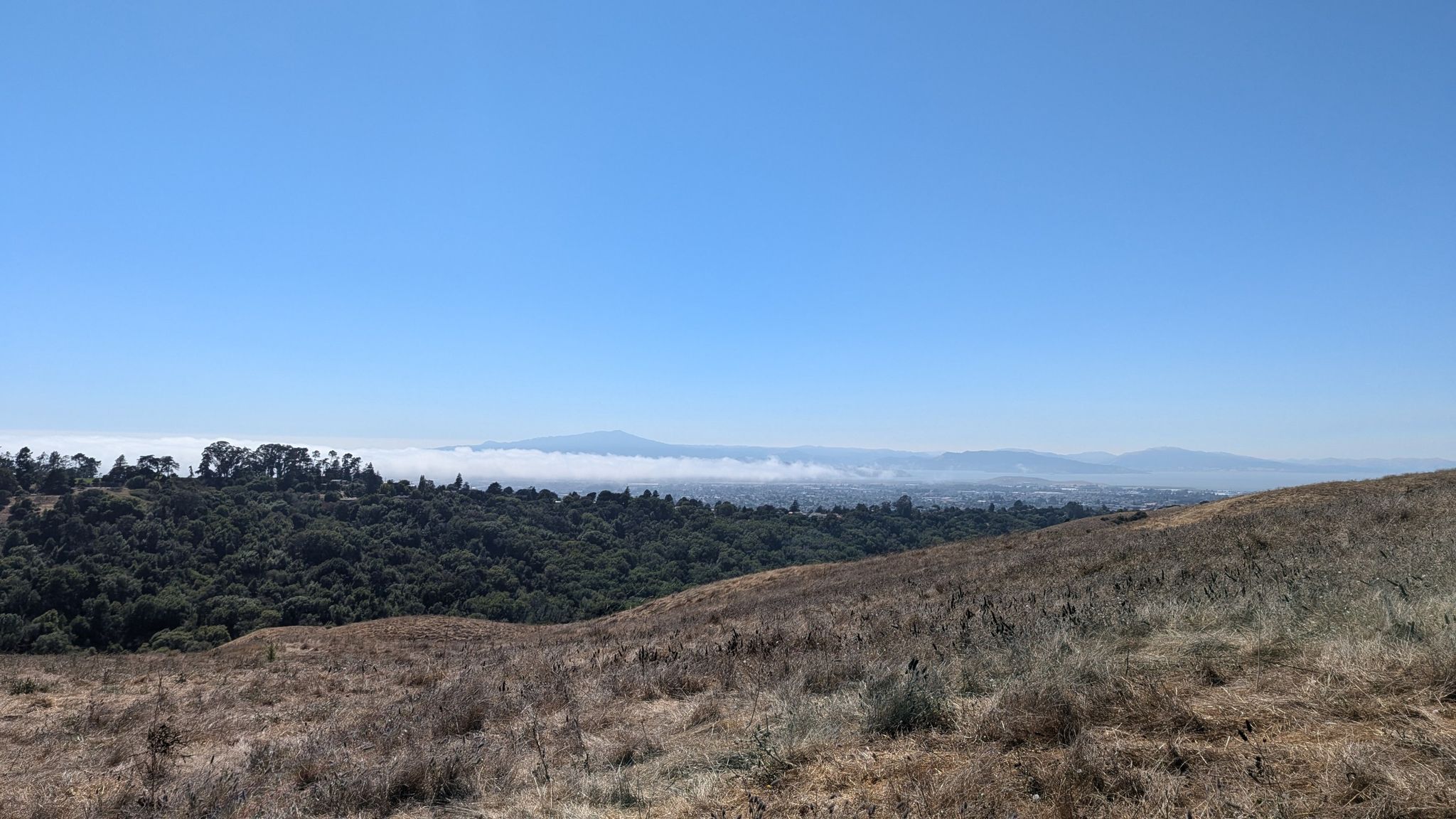 Dry, grassy hills overlooking a valley filled with fog and distant mountains. - Leonards and Mezue Trail Loop