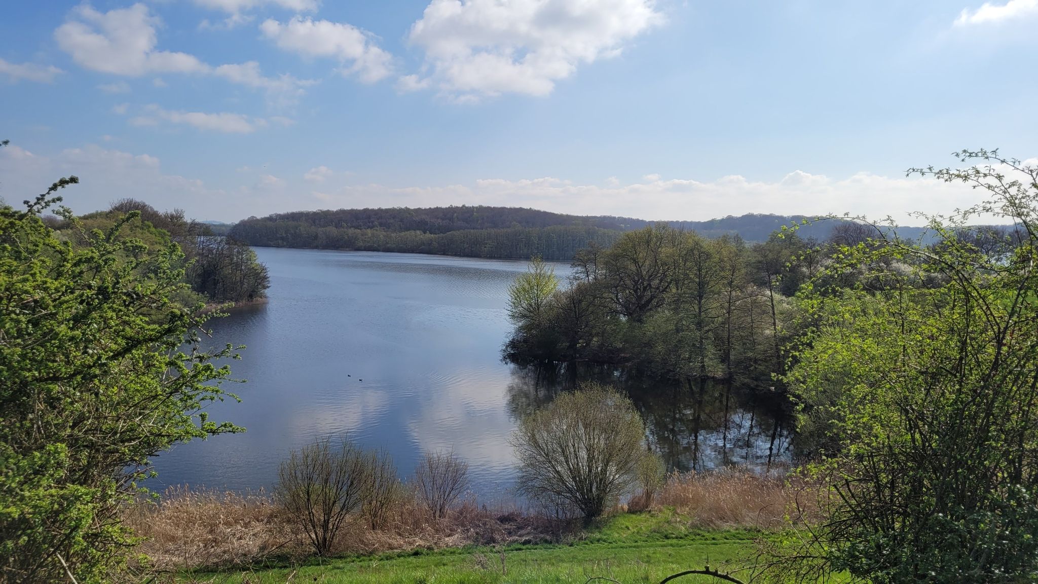 Blick über den Ziegelsee