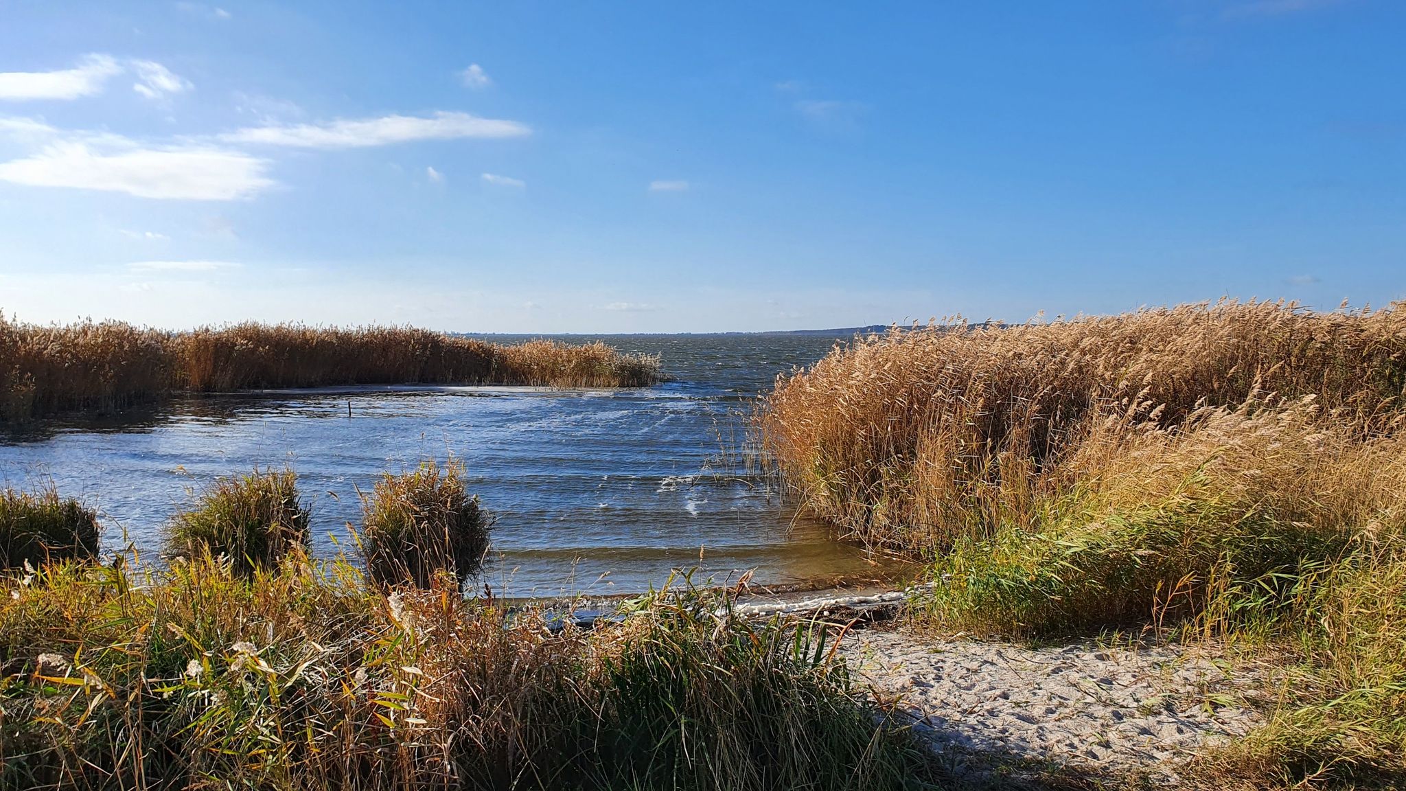 Strandstück am Peenestrom