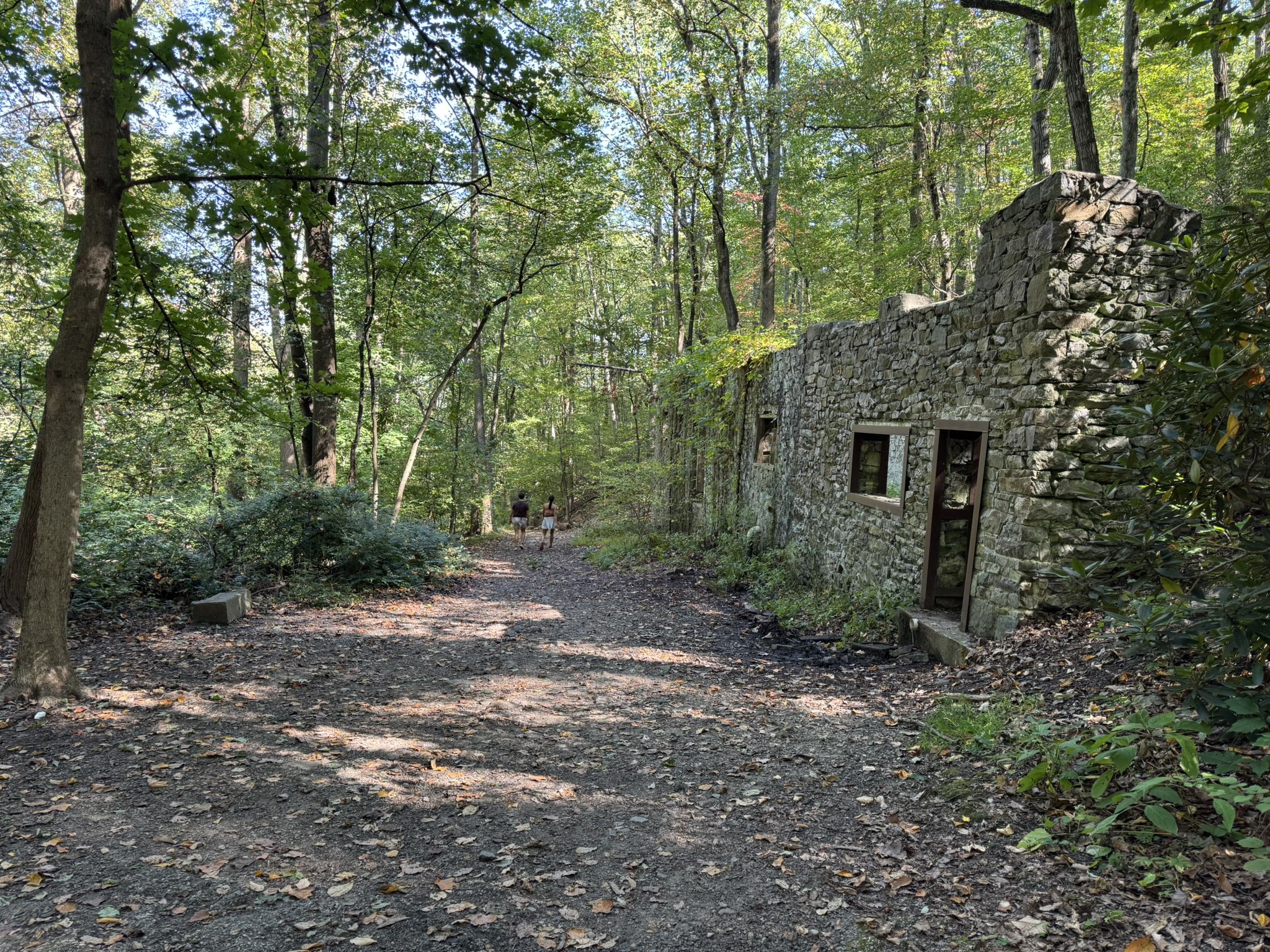 Stone ruins beside a sunlit dirt path through a green forest. - Horse-Shoe Trail
