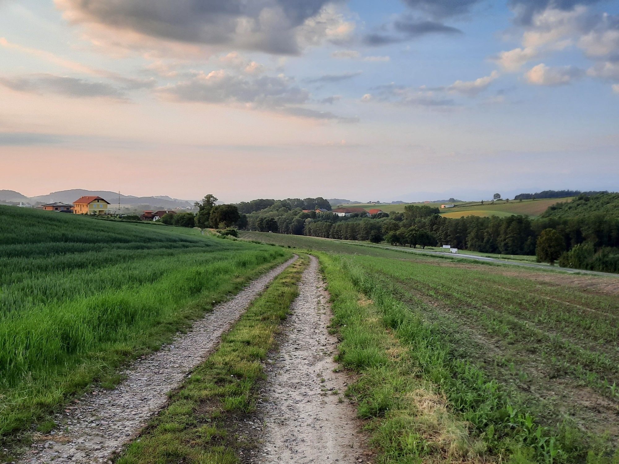 Sölliberg