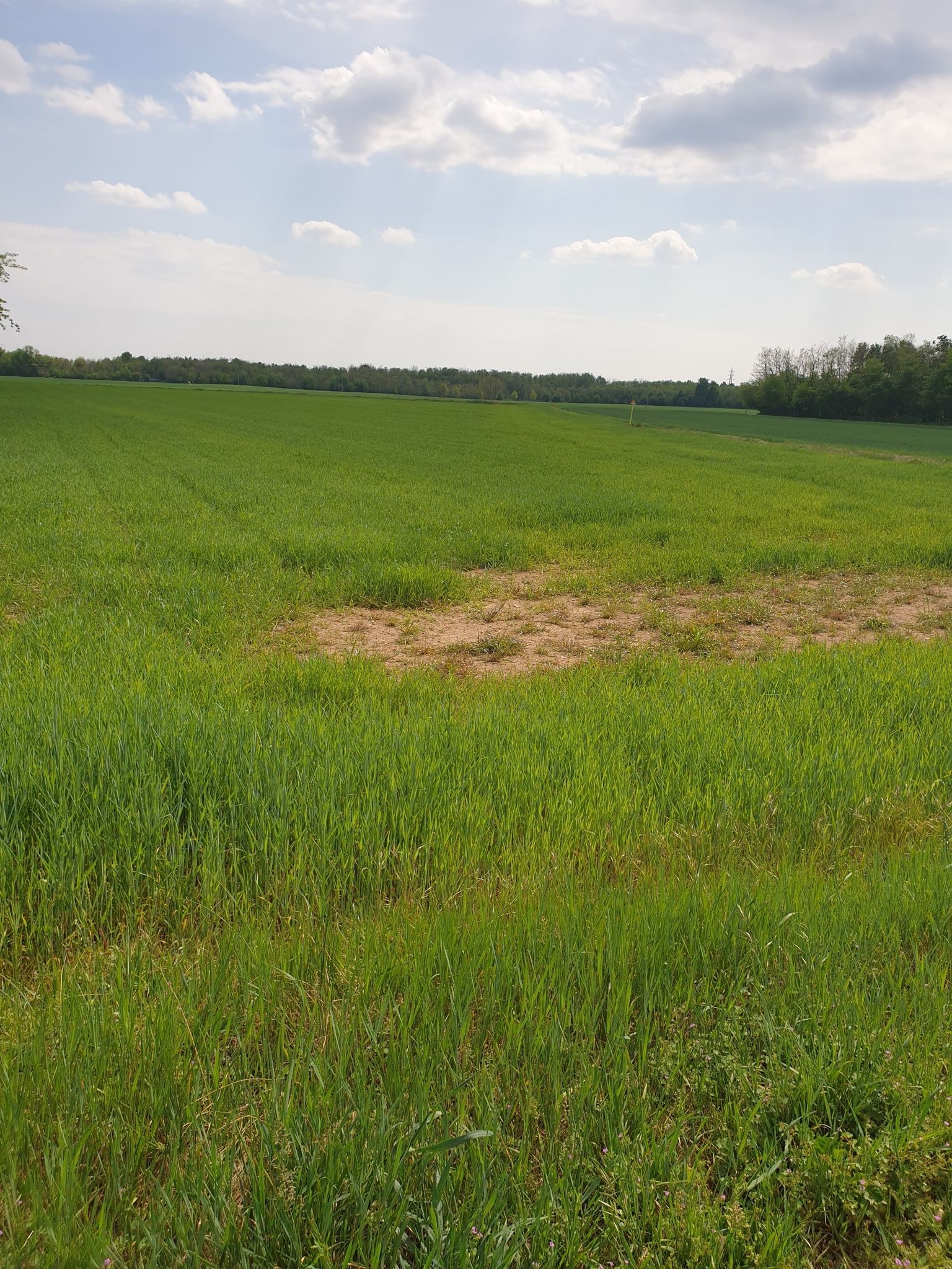 parco degli aironi