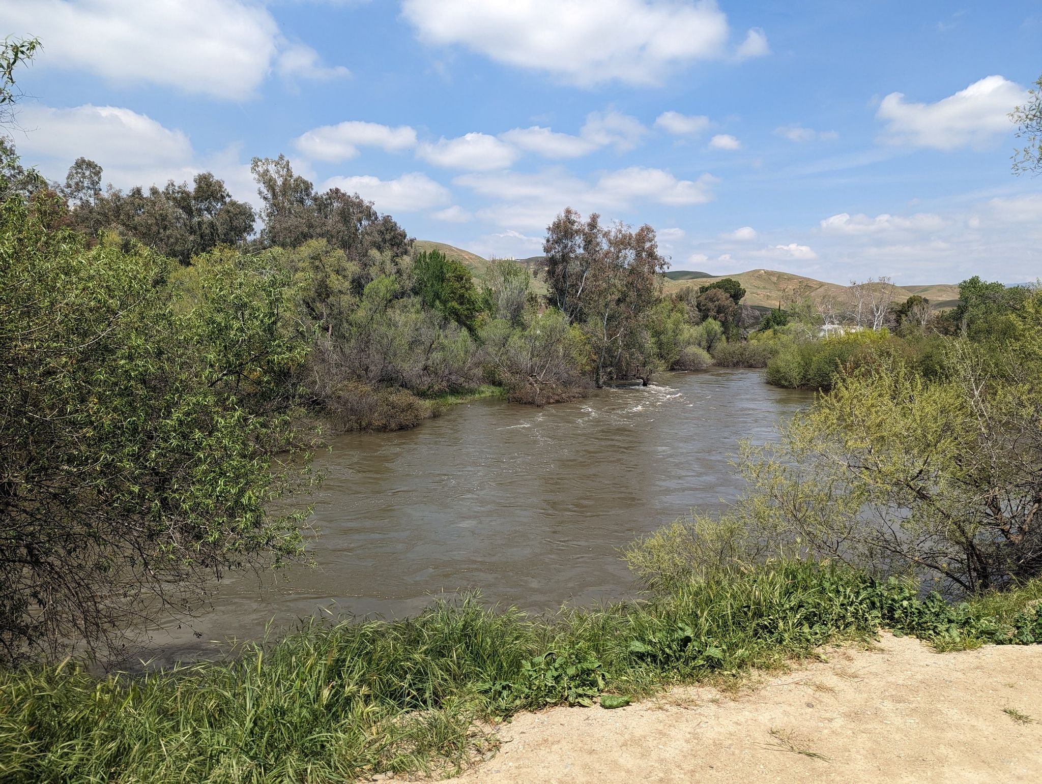 A river flowing through dense green and brown vegetation under a bright sky. - Hart Lake – Hart Park Trail loop from Hart Memorial Park