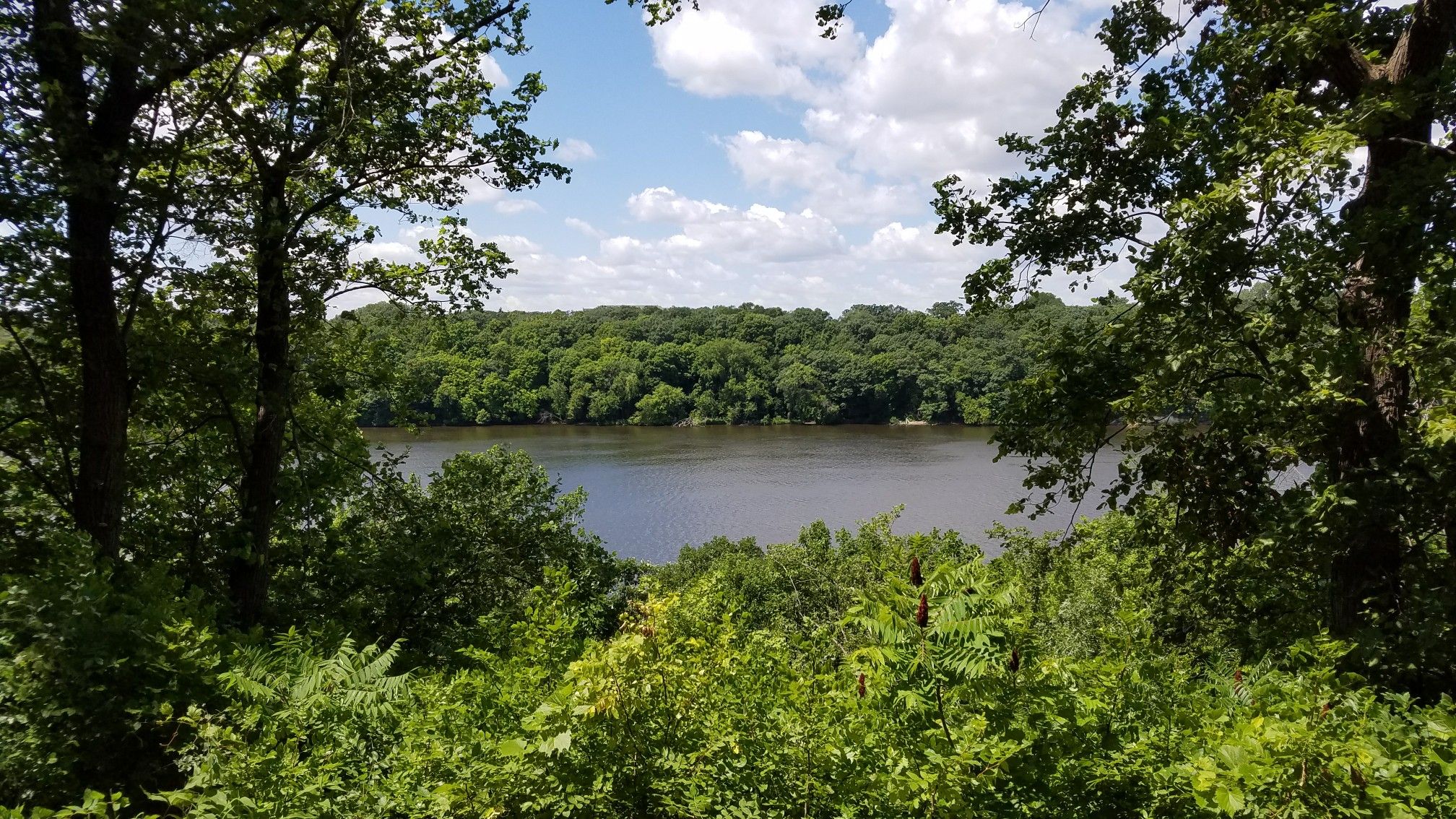 River framed by lush green trees, under a bright blue sky with clouds. - Mississippi Gorge Trail