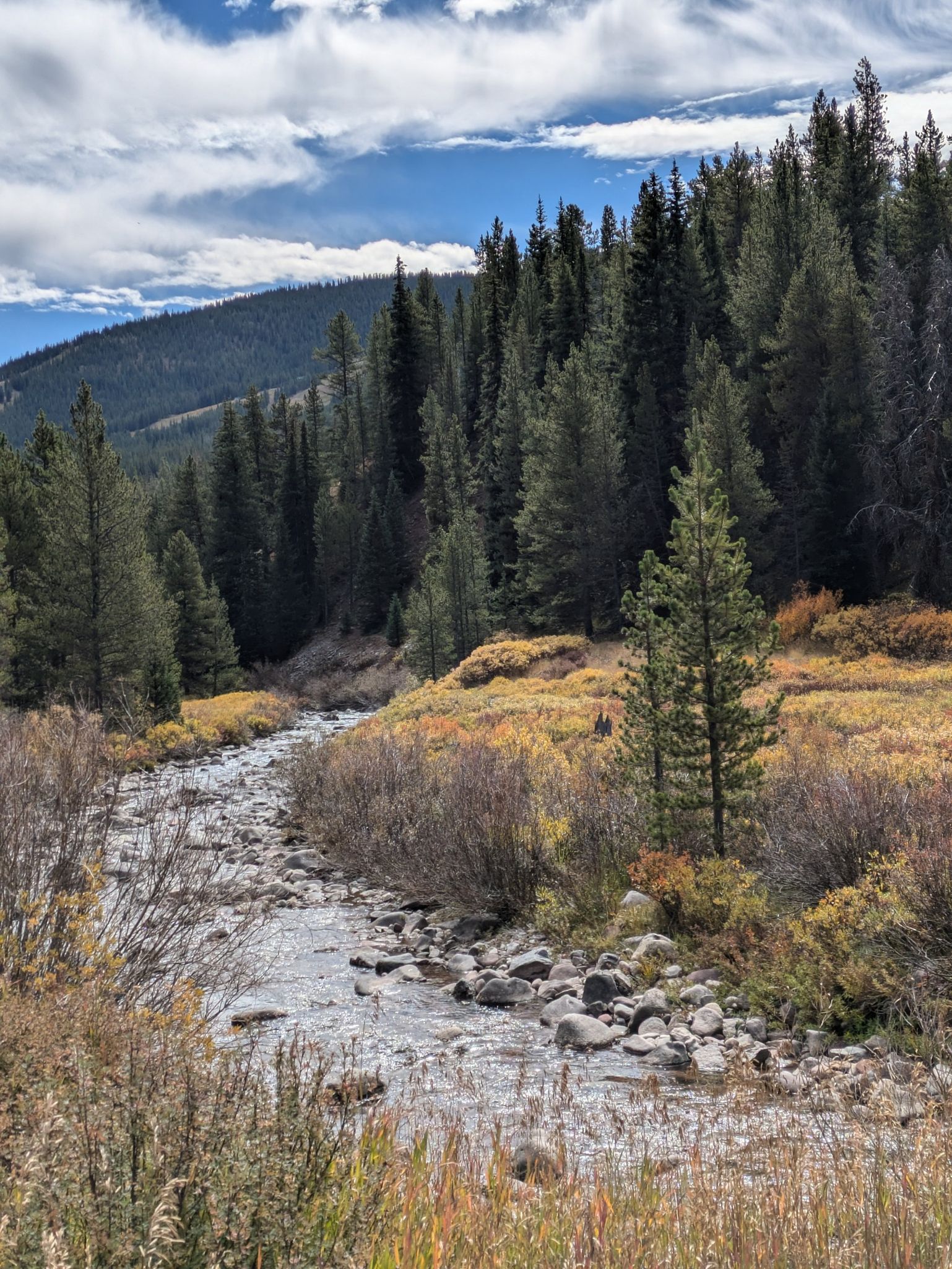 Rocky stream flows through a forested valley with golden shrubs under a bright sky. - Copper Triangle