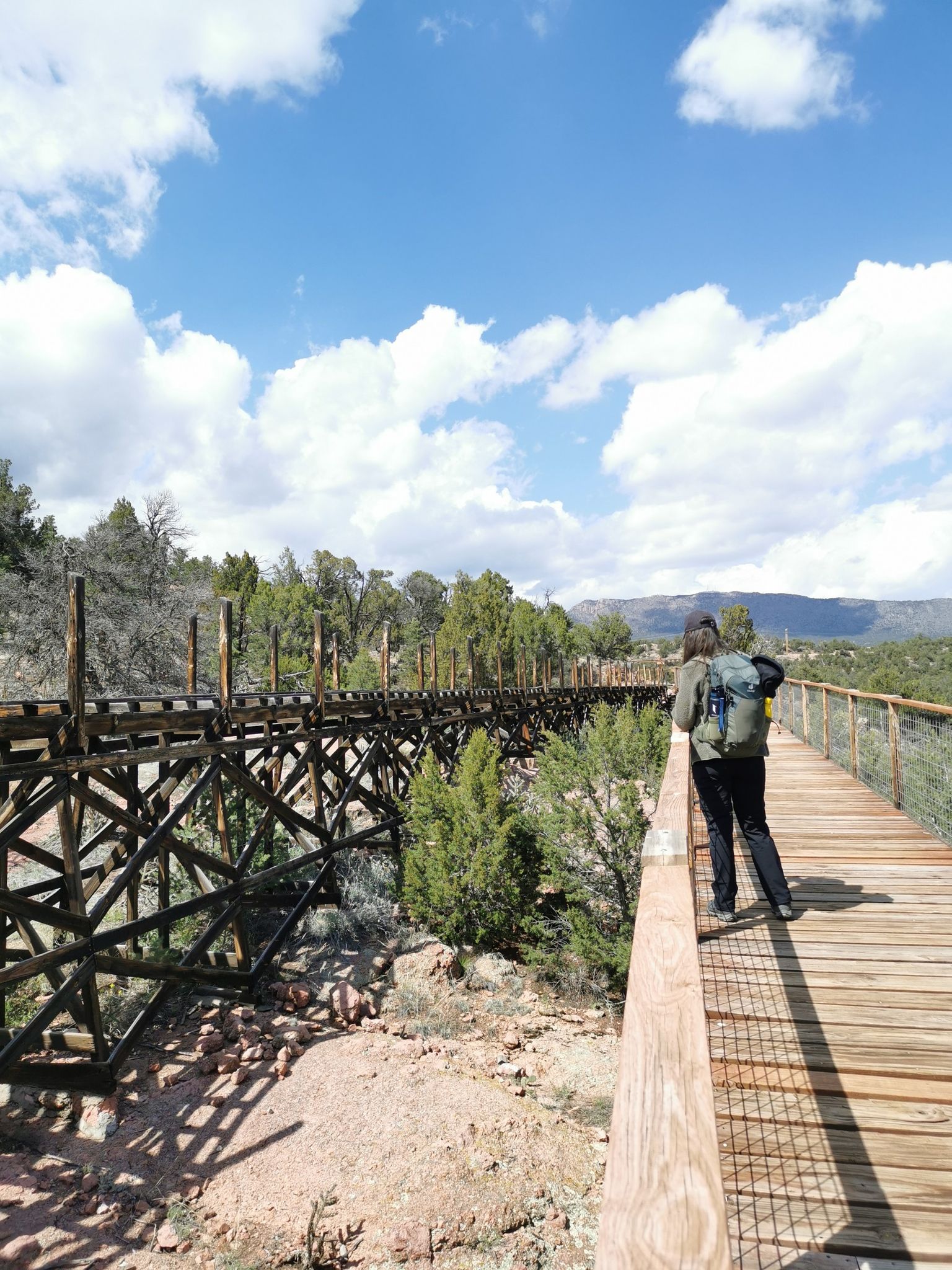 Person on a wooden walkway next to a large trestle bridge, sunny day. - Point Alta Vista and One Track Mind Loop
