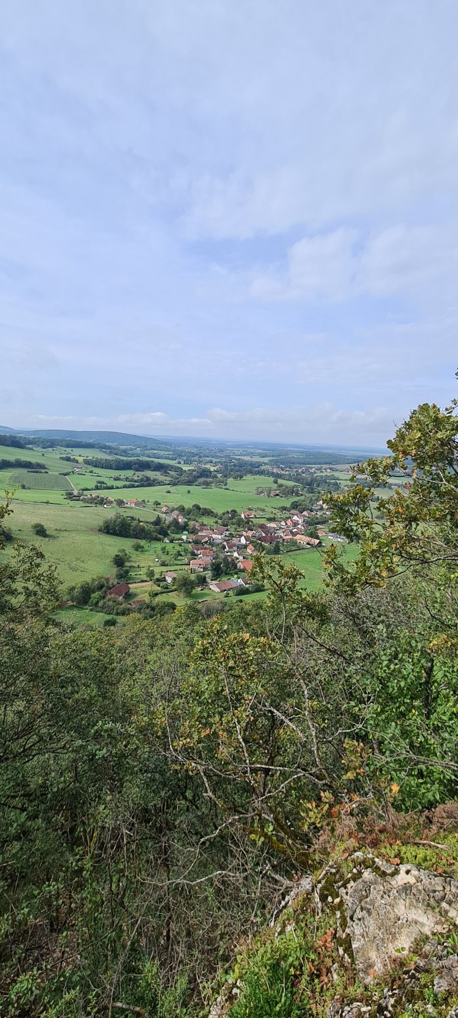 bois du château de bournel