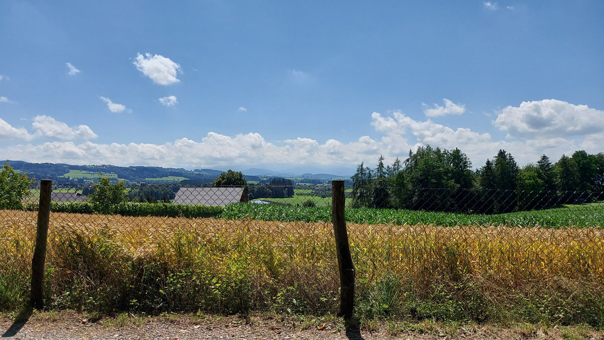 Waldschenke