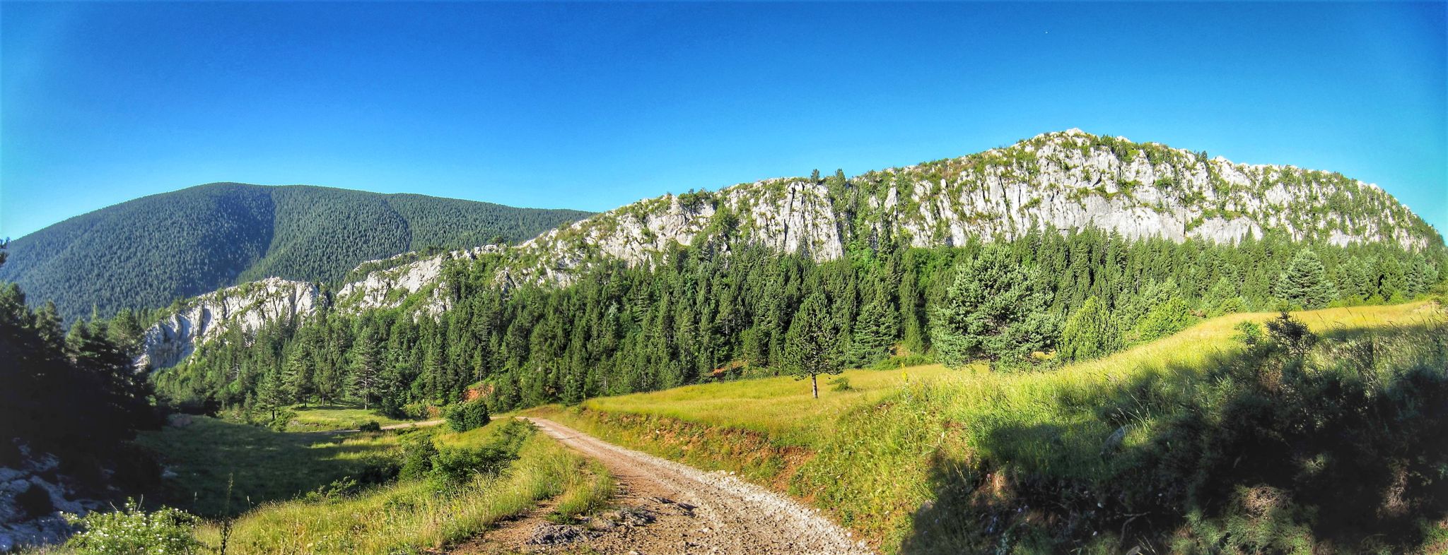 Cingle del Griell
