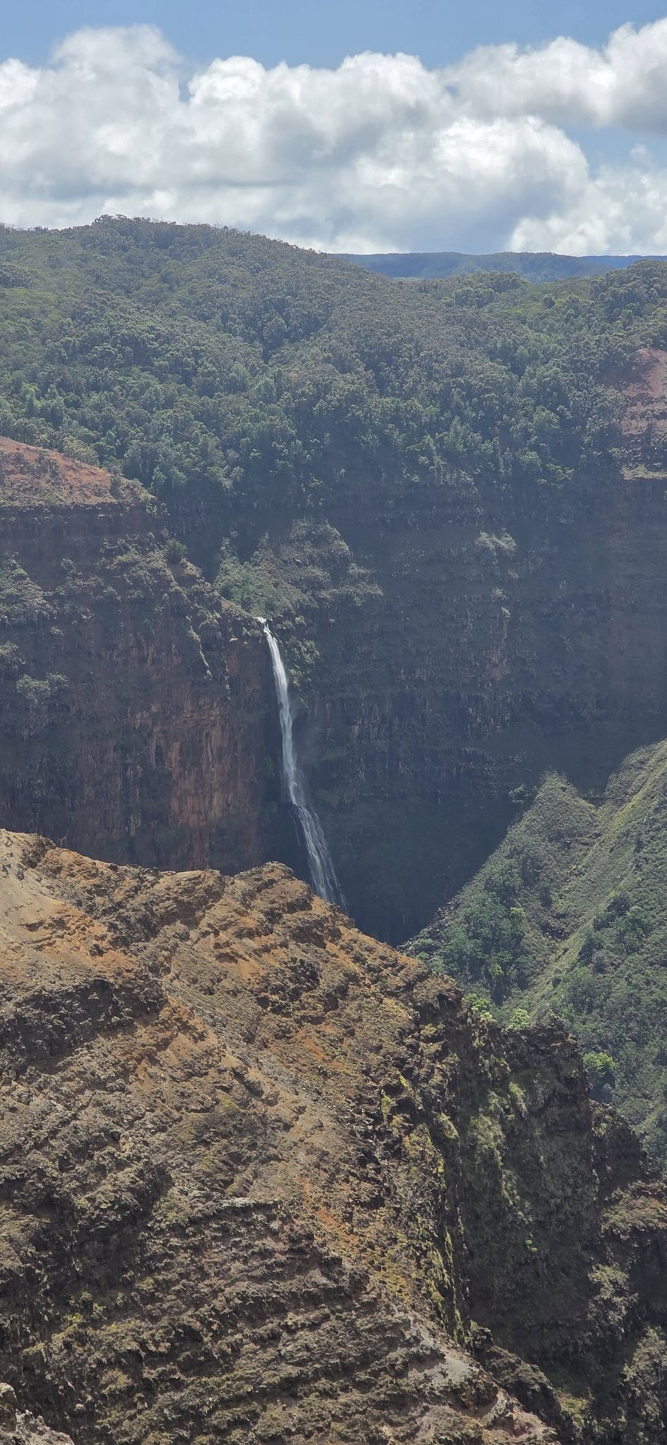 A tall waterfall plunges into a deep, rocky gorge on a bright day. - Waimea Canyon Lookout from Pu'u Ka Pele