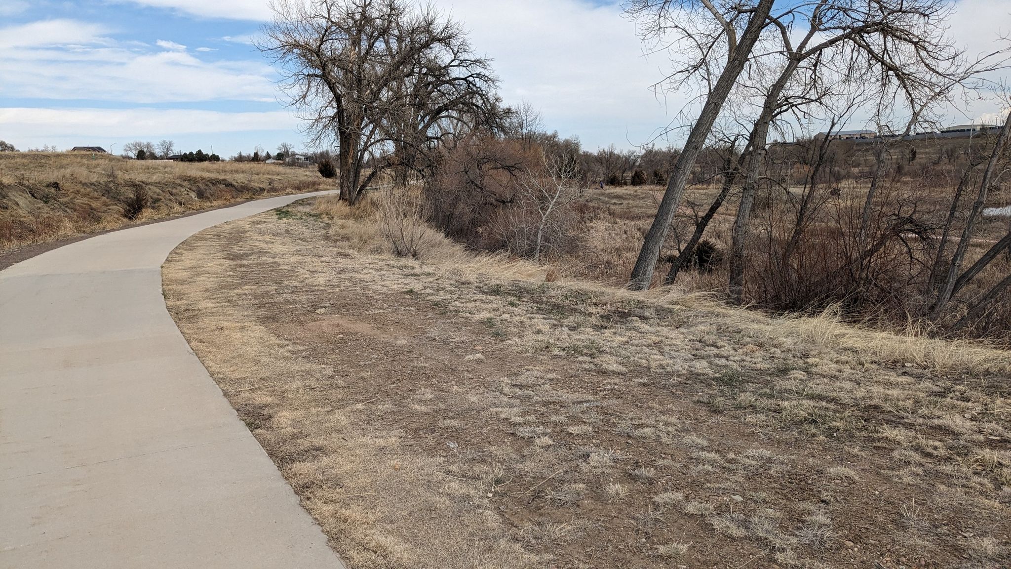 Paved path winding through dry grass and bare trees. - South Platte River Bridge – South Platte River Trail loop from Brighton