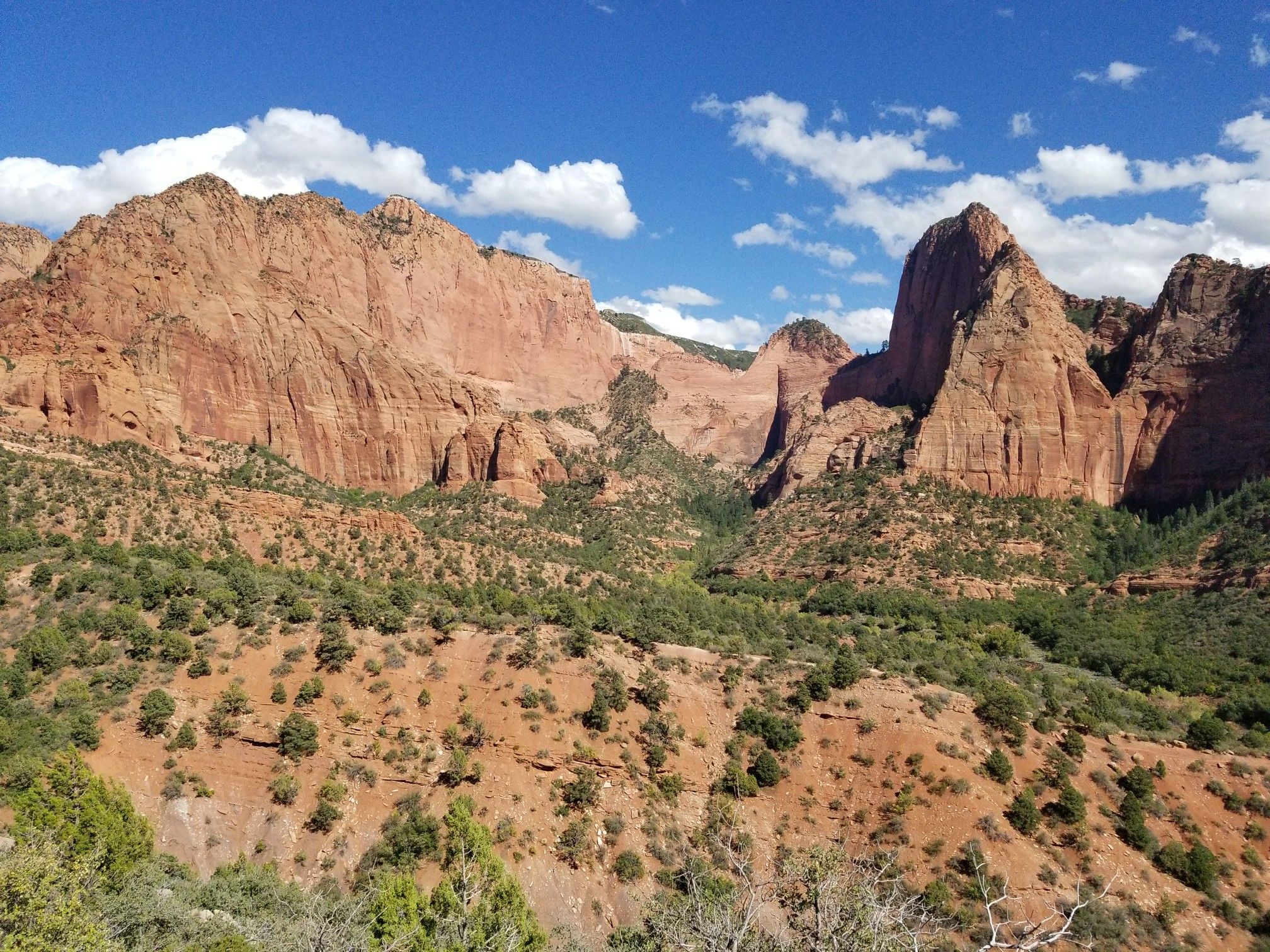 Expansive view of red rock mountains and green scrubland under a blue sky. - Kolob Canyon Scenic Drive