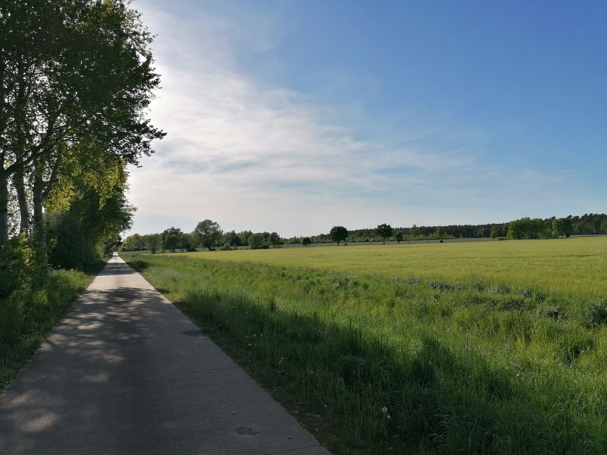 schöner Radweg durch die Feldmark Richtung Lemgow