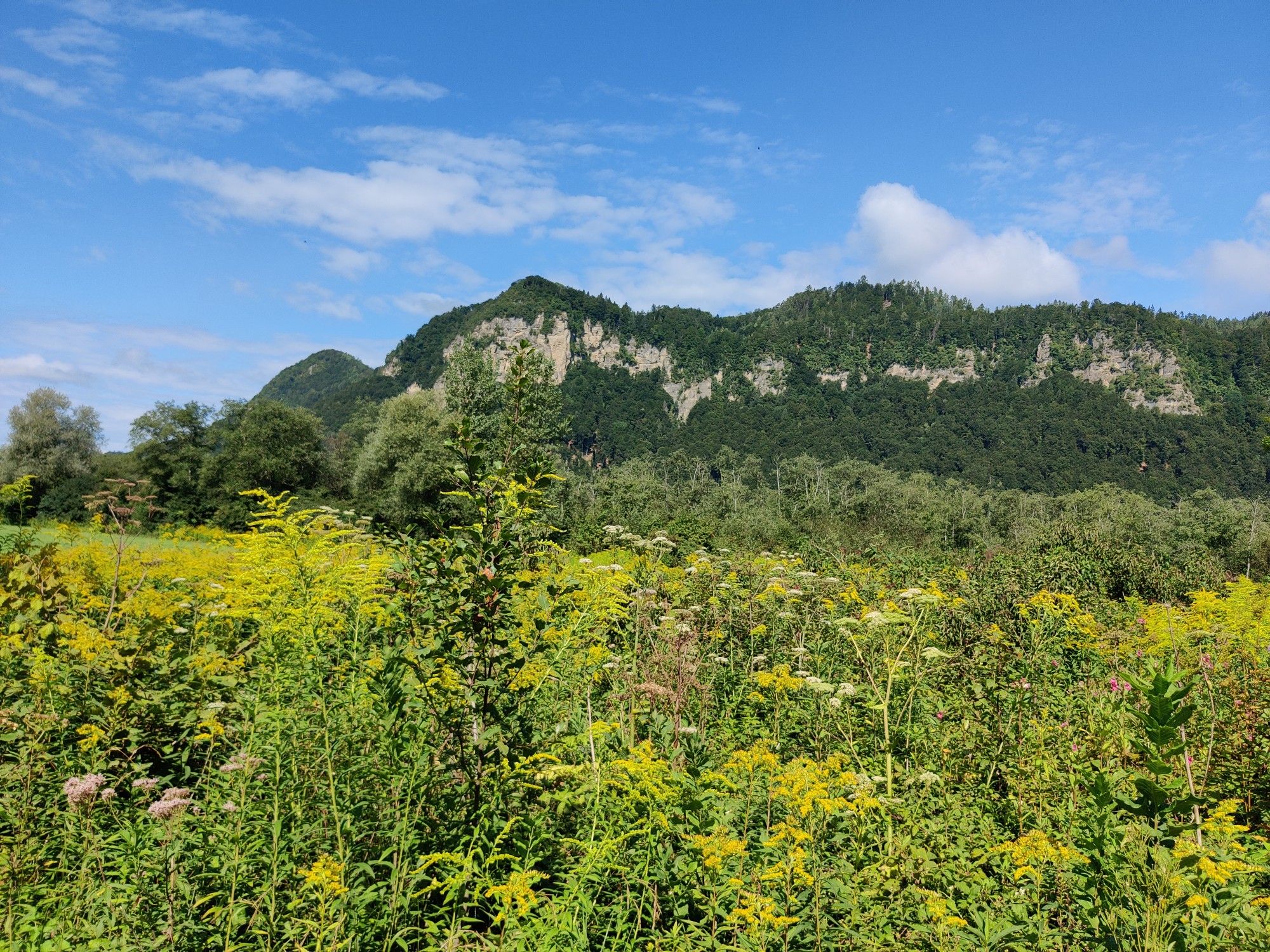 an der Dau