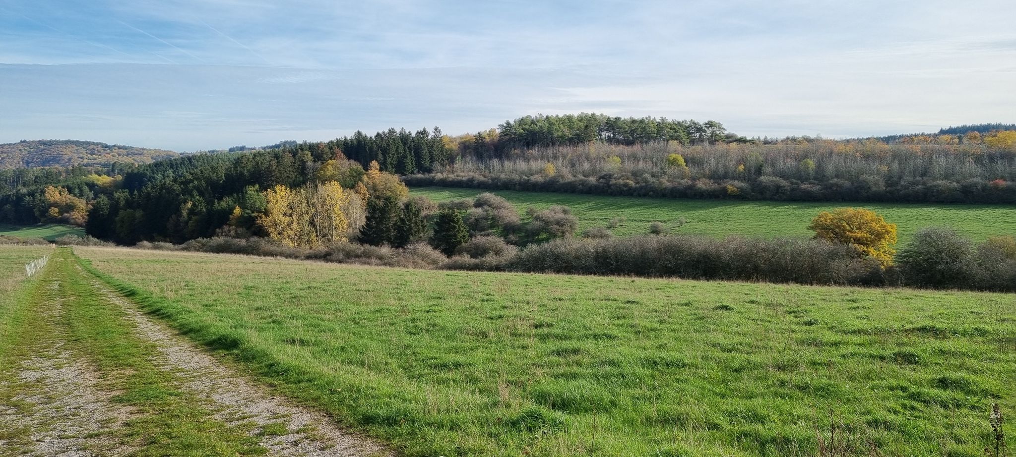 NSG Michelbach