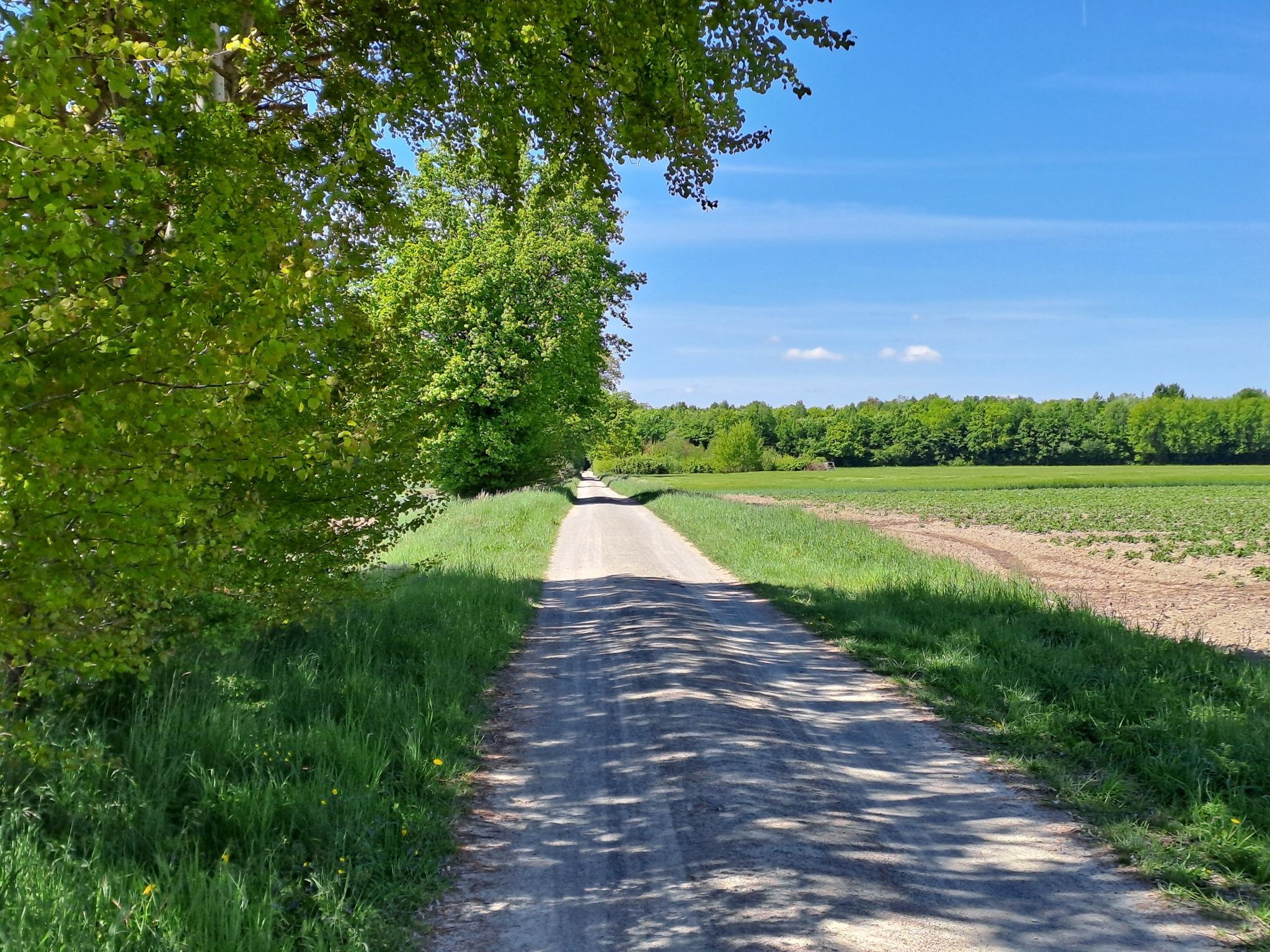 Hillerse -> Vollbüttel (Gravelabschnitt)