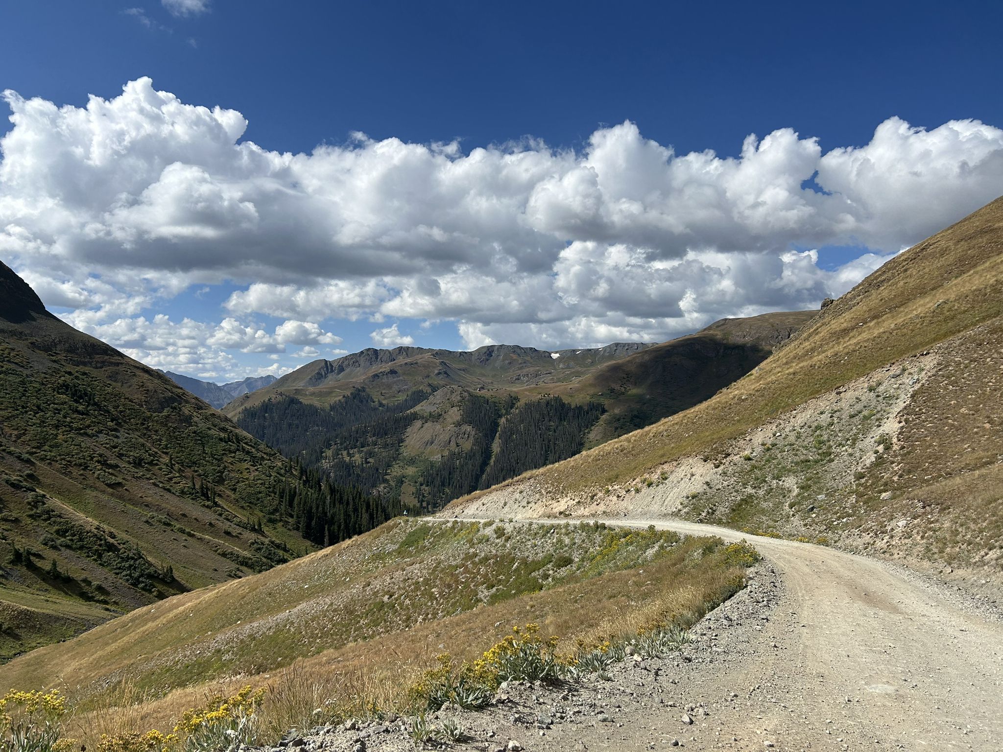 Winding dirt road through a vast mountain valley under a cloudy sky. - Cinnamon Pass