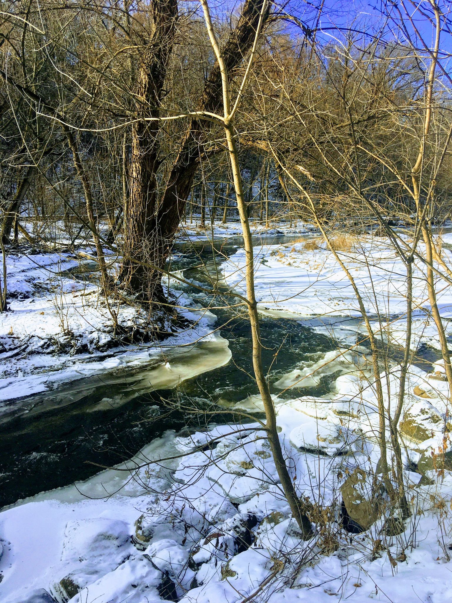 Partially frozen river flowing through a snowy landscape with bare trees. - Minnehaha Falls – Minnehaha Falls Viewpoint loop from Nokomis