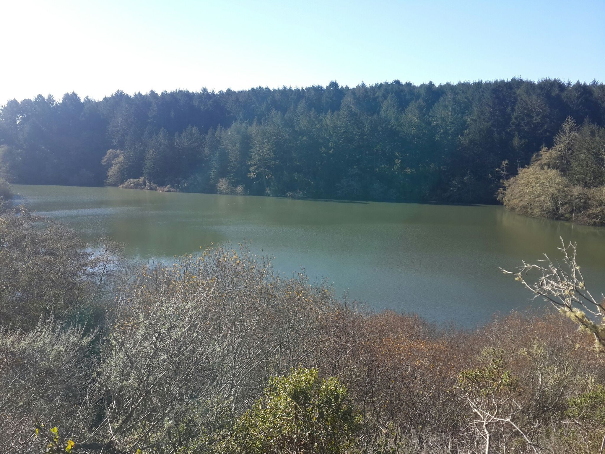 A wide lake surrounded by green forest and dry bushes under a clear sky. - Alamere Falls via Coast Trail