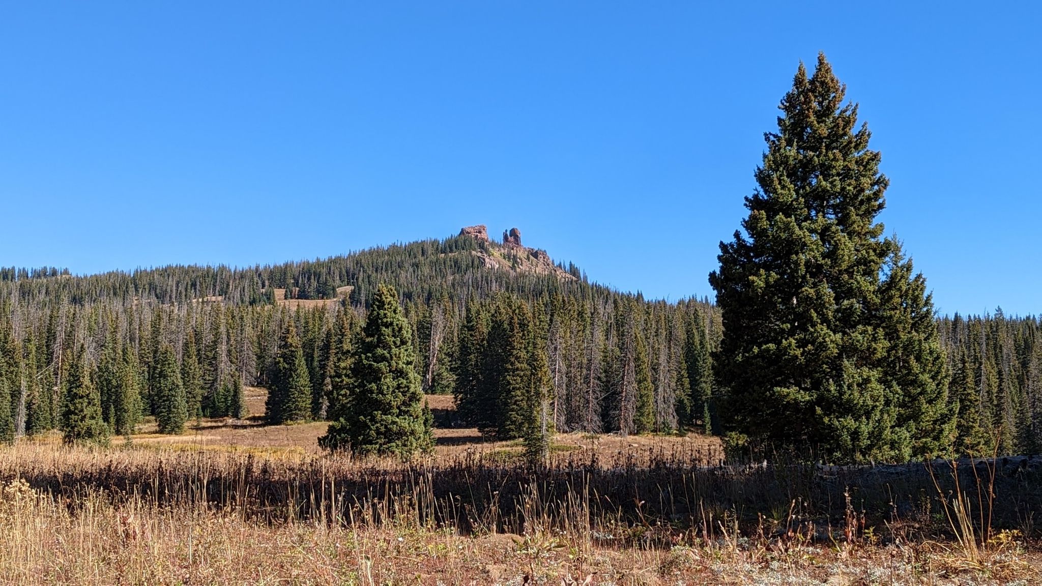 Sunny view of a forested hill with rocky peaks above a grassy field. - Rabbit Ears Peak via Rabbit Ears Trail