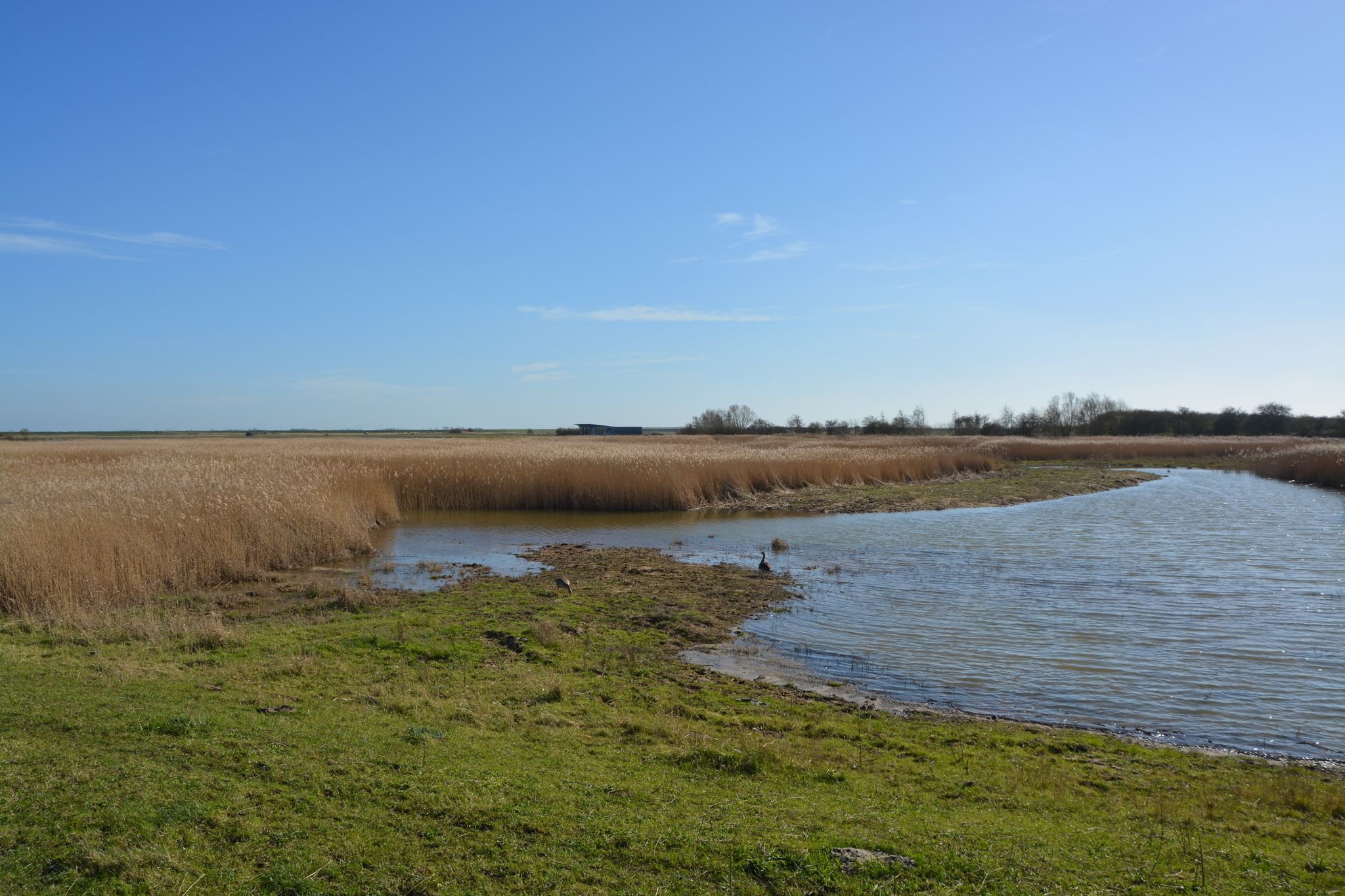 Visitor centre from across the wetlands