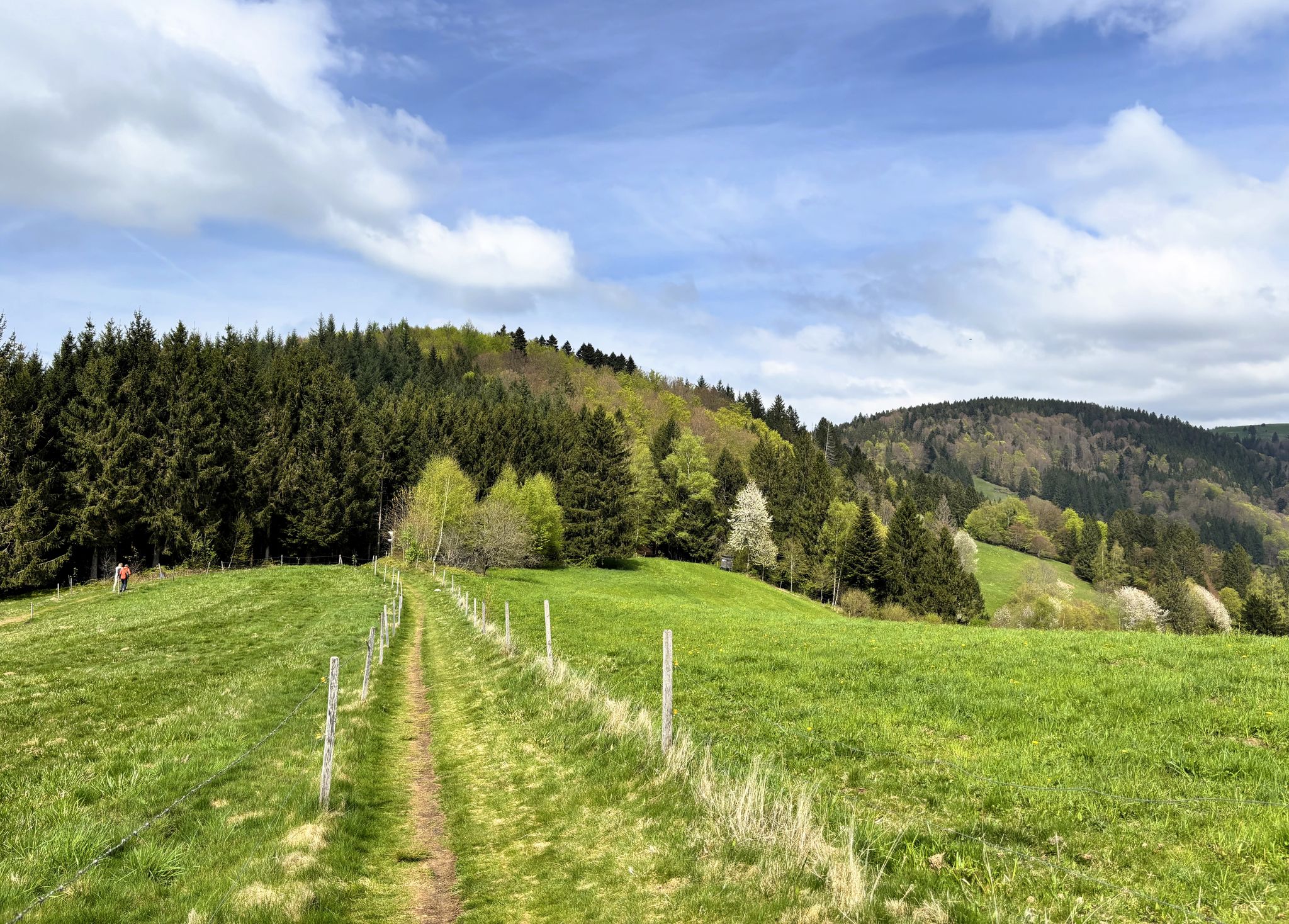 Auf dem Sonnhaldeeck