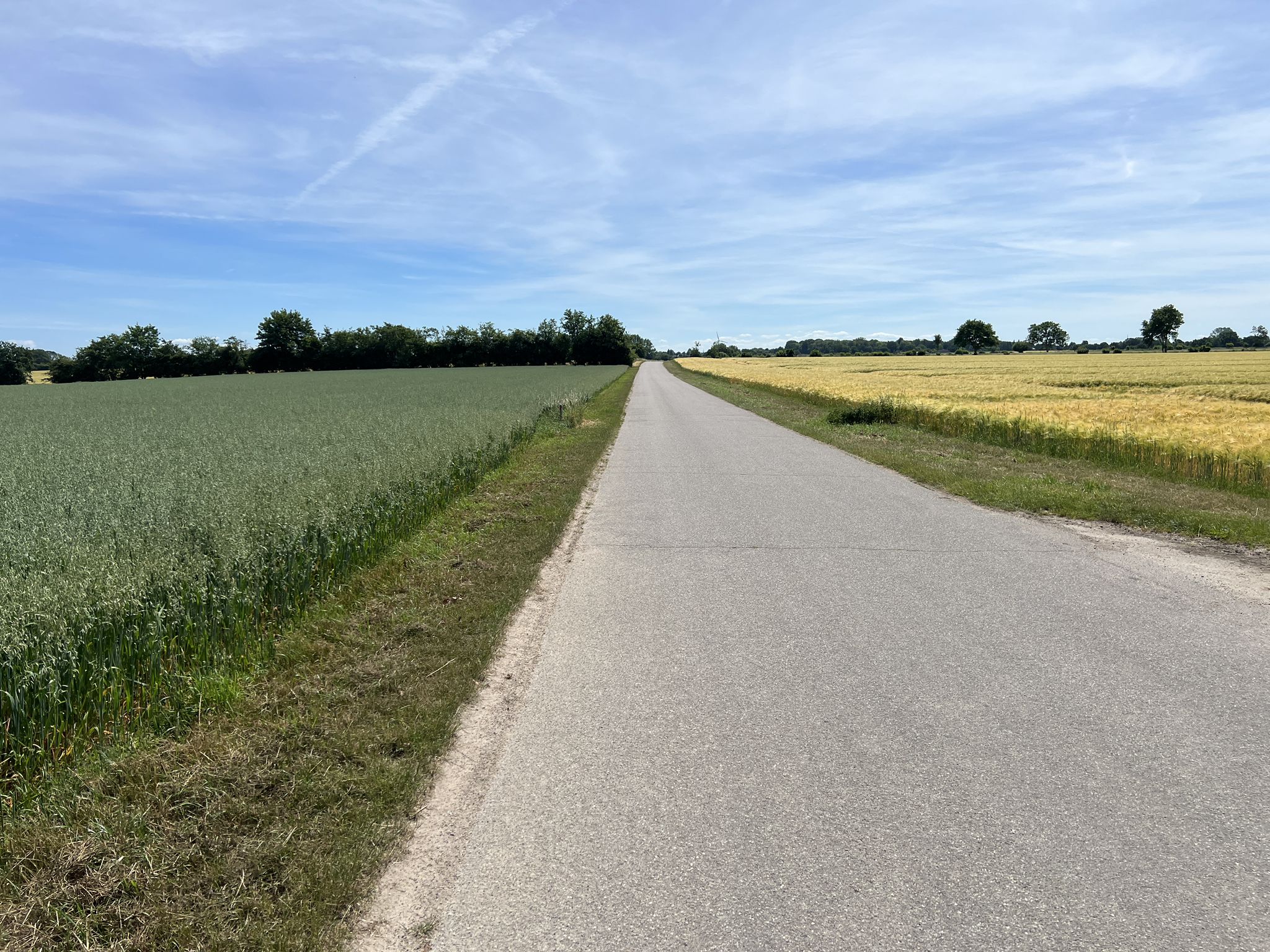 zwischen dem Hafer- und Gerstenfeld hindurch