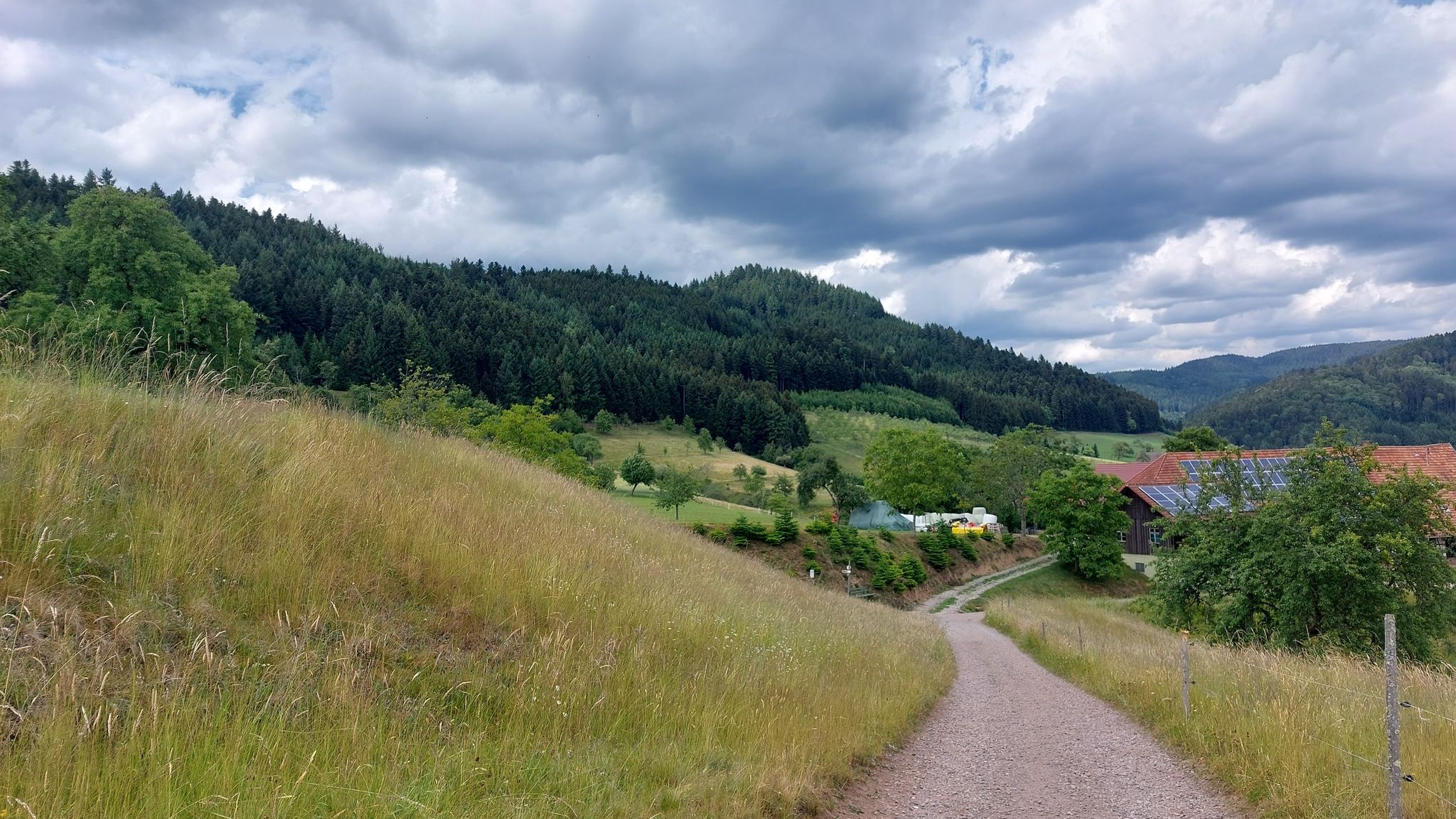 Abstieg nach Unterharmersbach