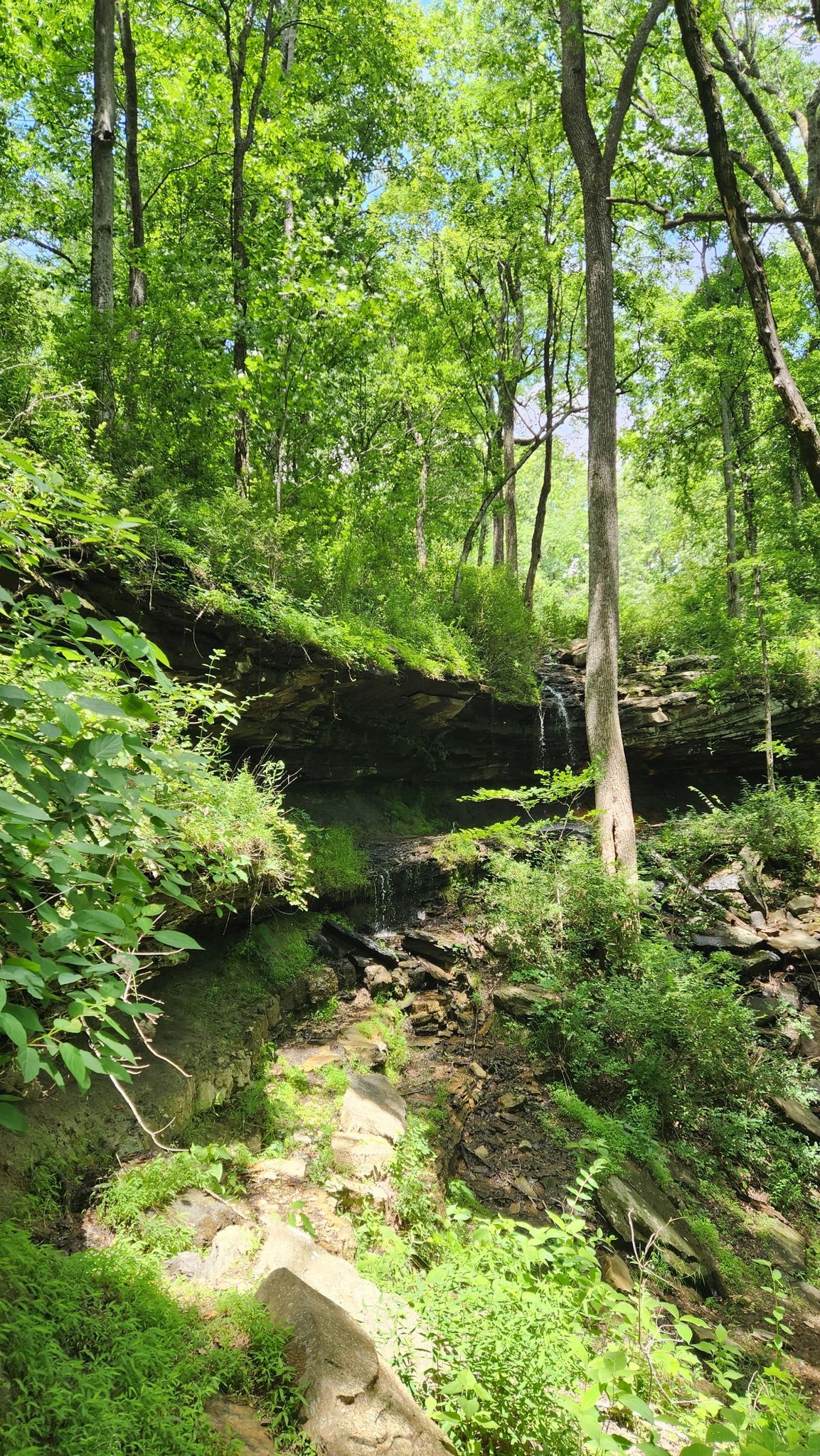 A small waterfall cascades over mossy rocks in a vibrant green forest. - Arrowhead and Natural Well Trail Loop