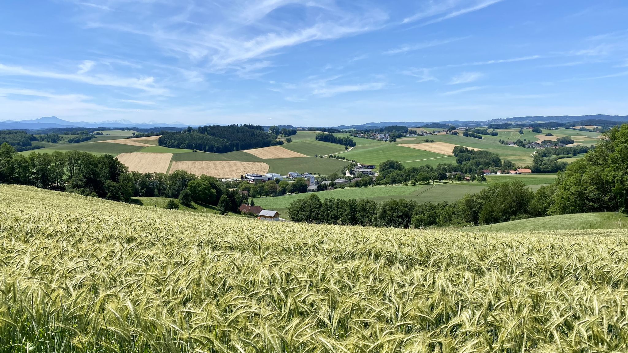 Willing - Aichkirchen