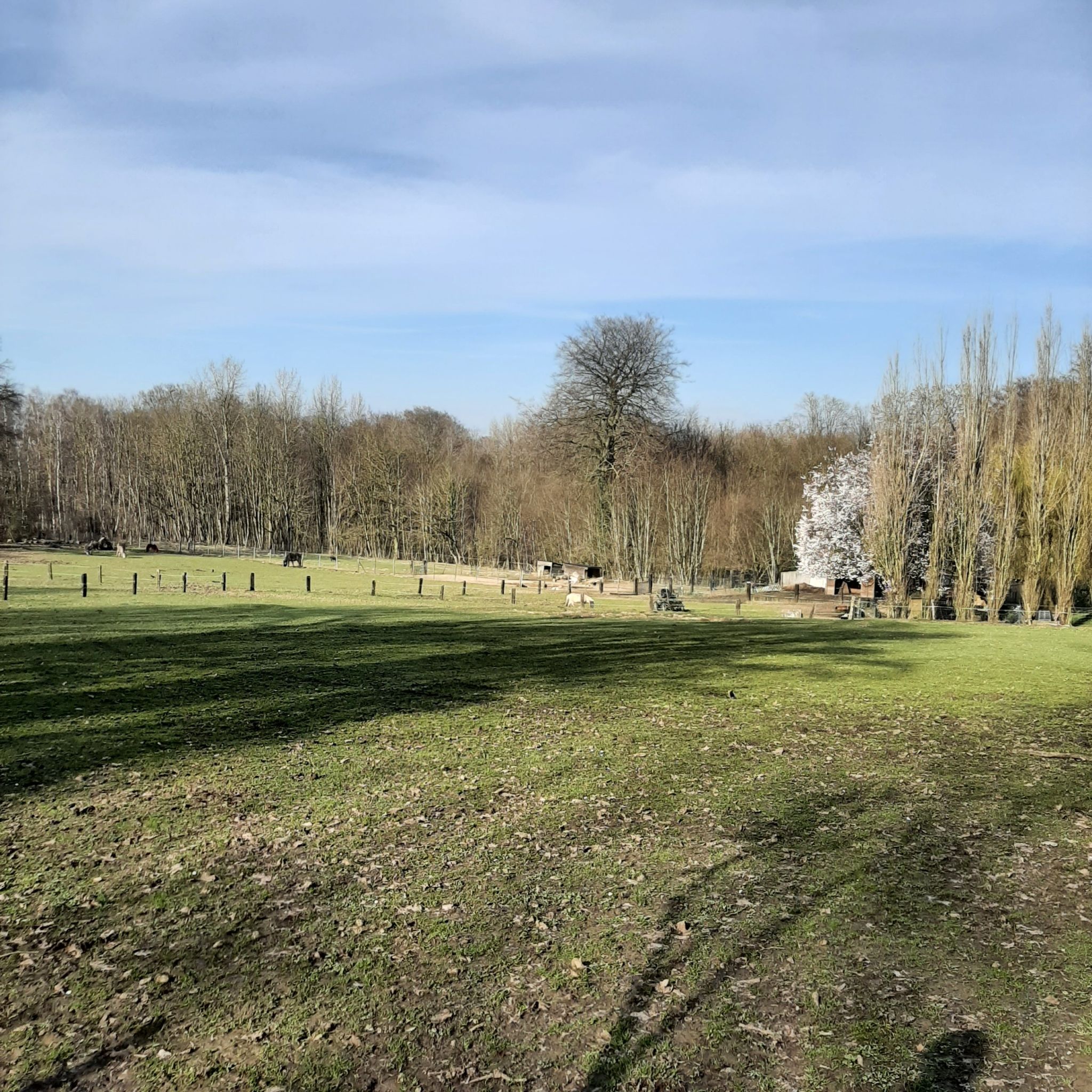 mont Saint aubert