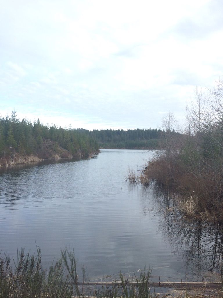 Allen Lake