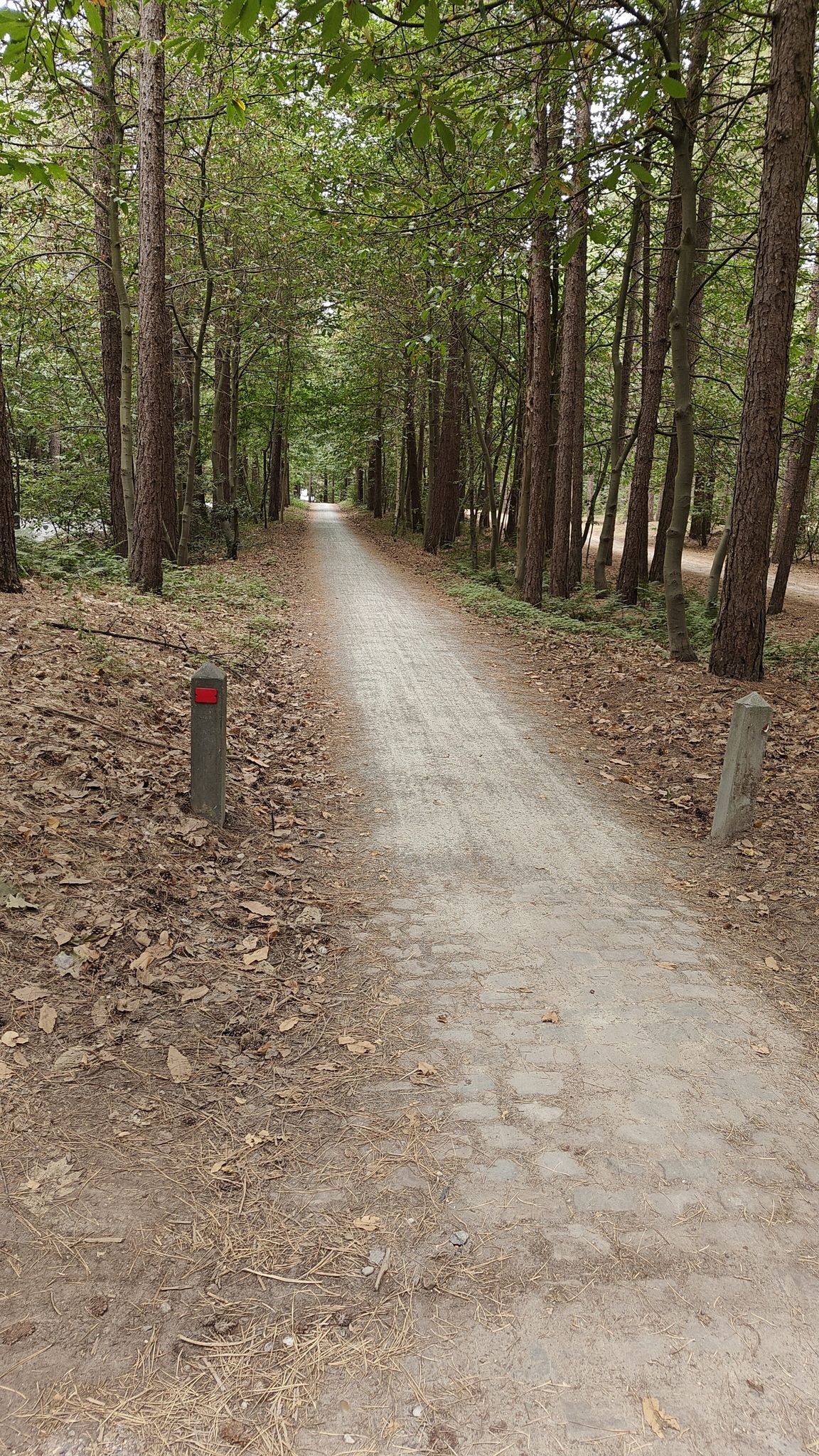 Fietspad De Lilse Bergen