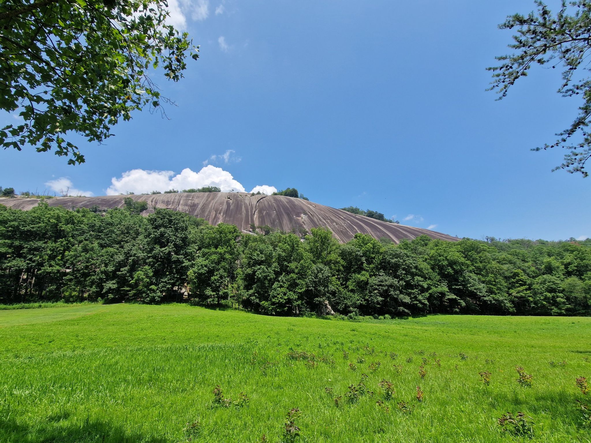 Bright green field with dense forest and a massive rock dome under blue sky. - Historic Hutchinson Homestead – Wolf Rock loop from Stone Mountain State Park