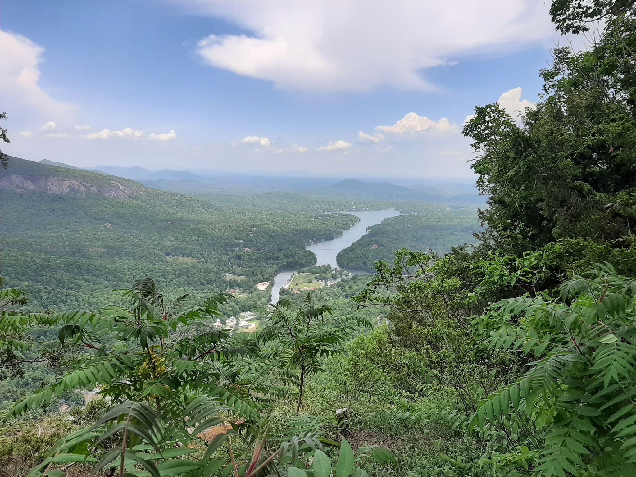 Lush green foliage framing a distant river winding through a forested valley. Bright daylight. - Exclamation Point Trail