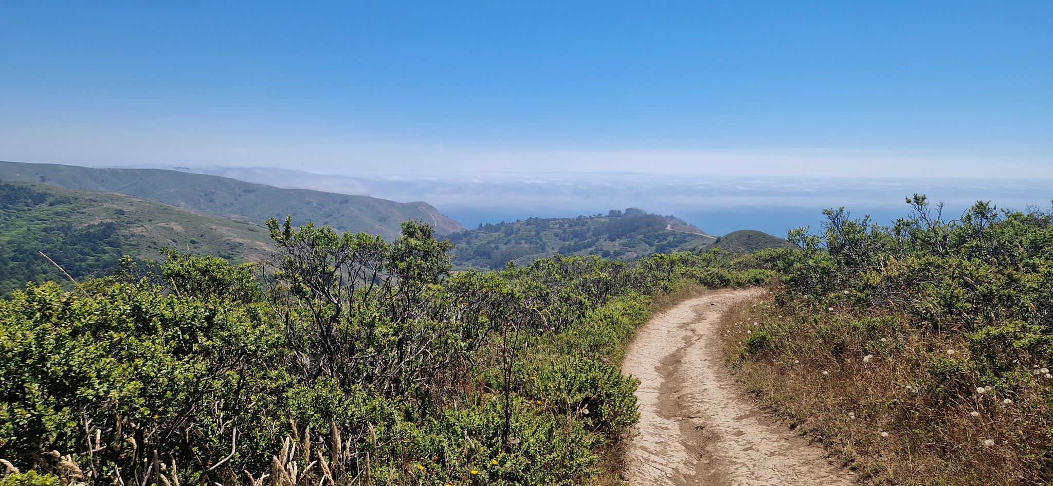 A winding dirt trail through green hills under a clear blue sky. - Tennessee Valley/Muir Beach loop