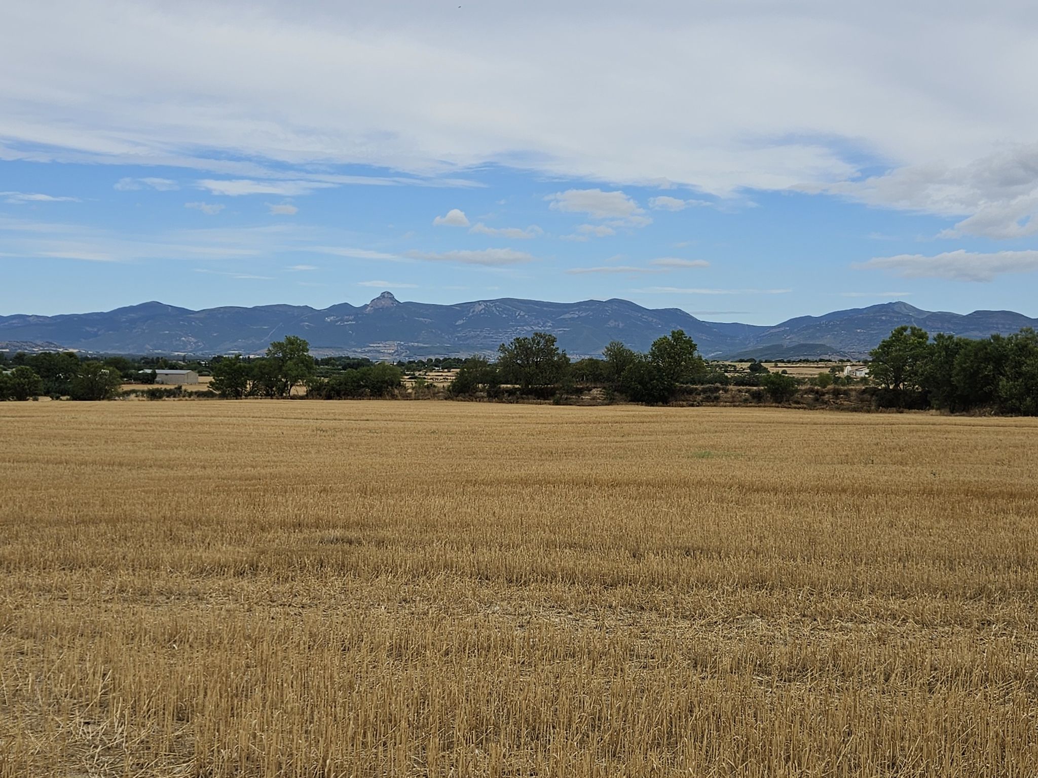 view