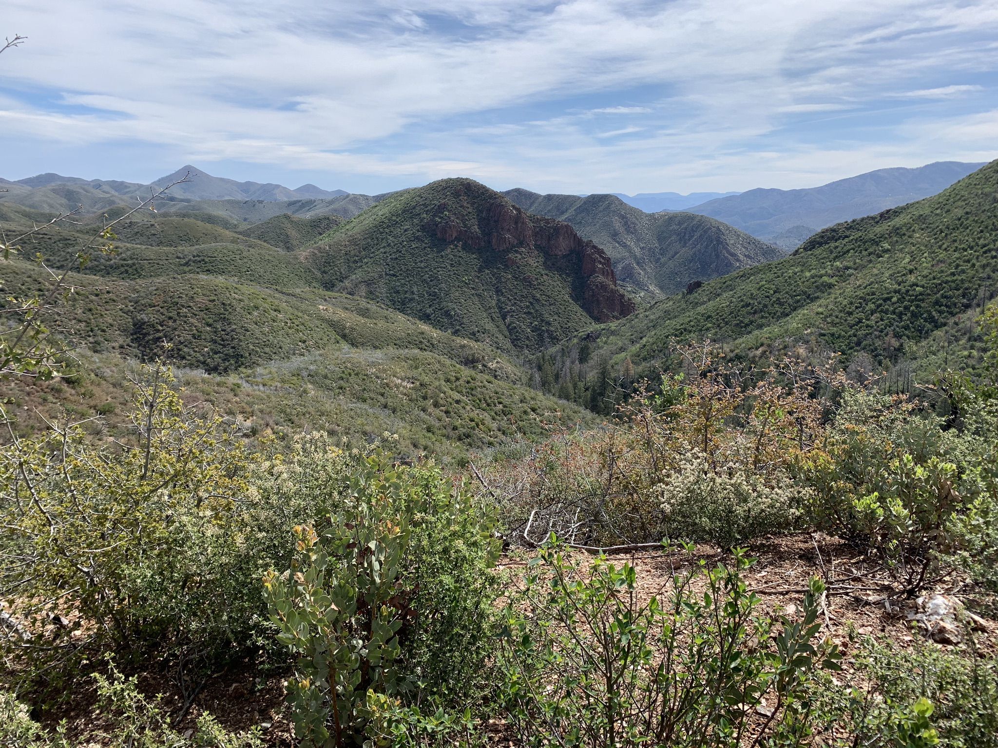 Rolling green mountains and valleys under a partly cloudy sky. - Arizona Trail: Passage 23 - Mazatzal Divide