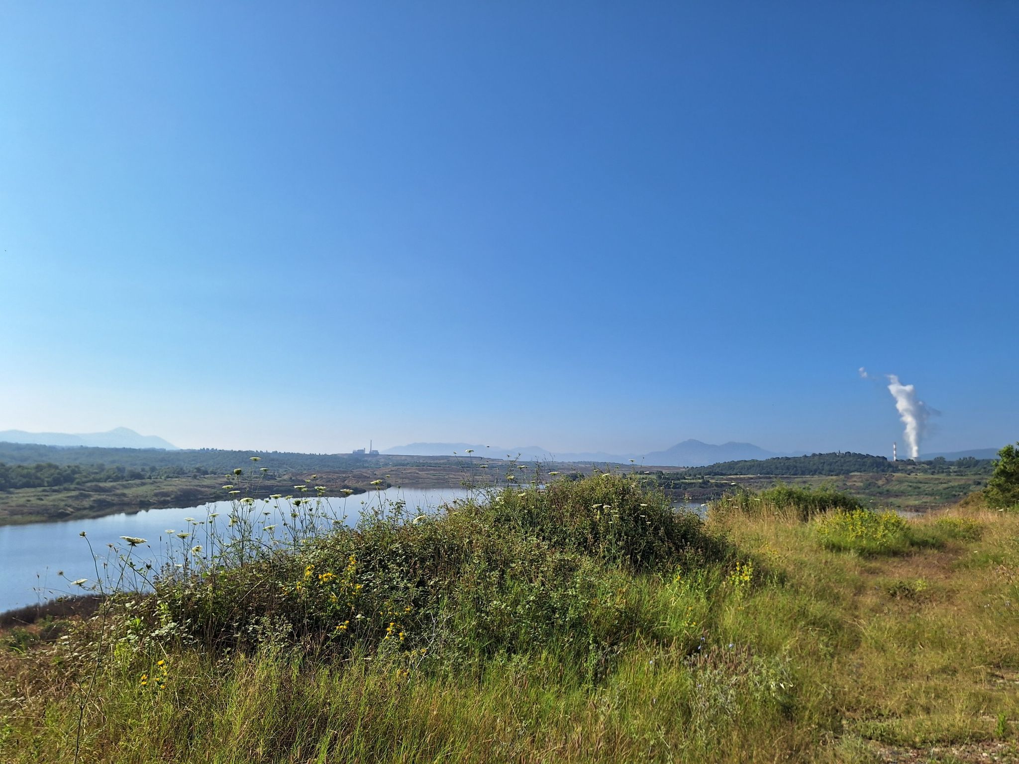 Braunkohle