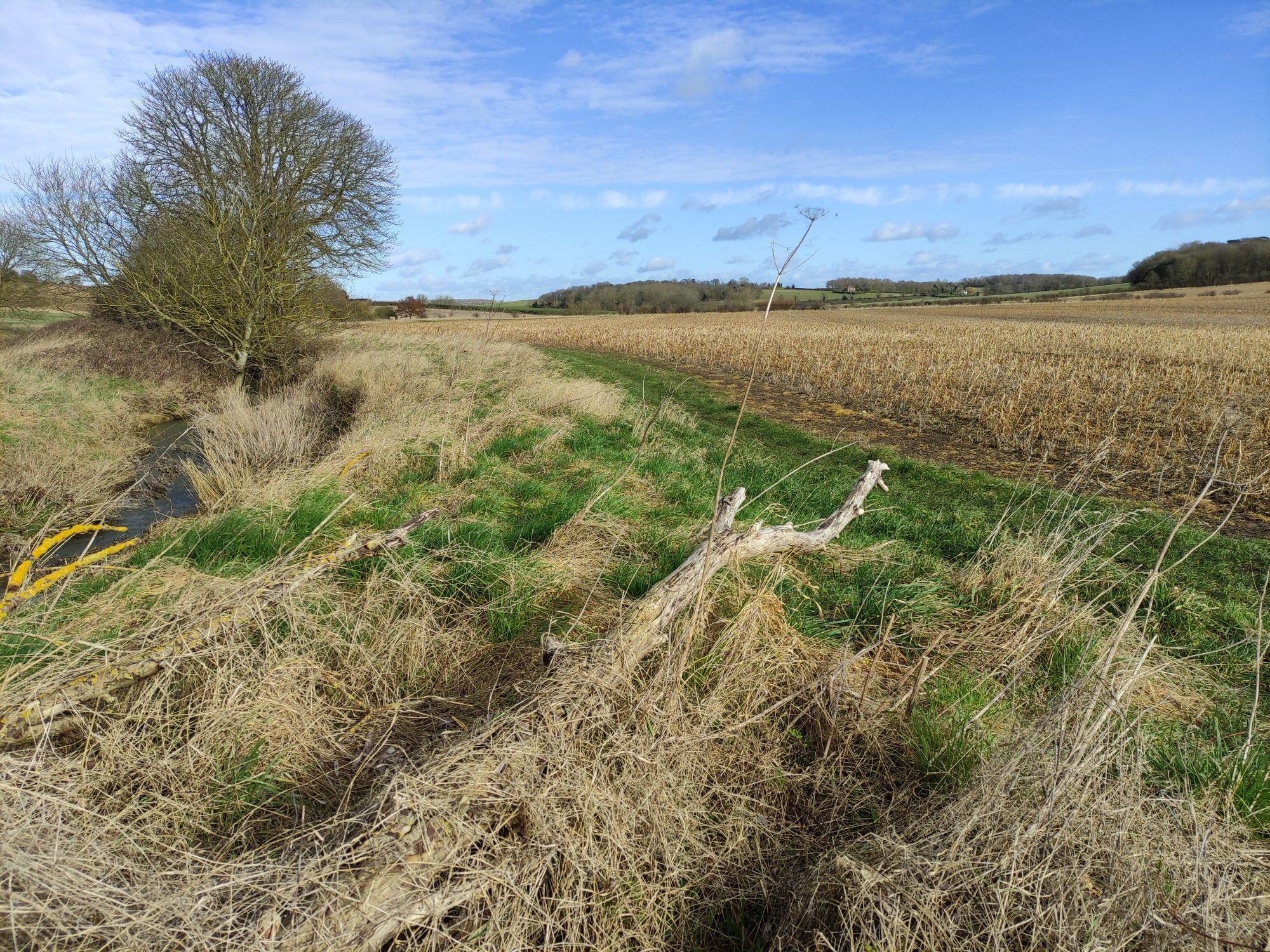 The "River" Kennett