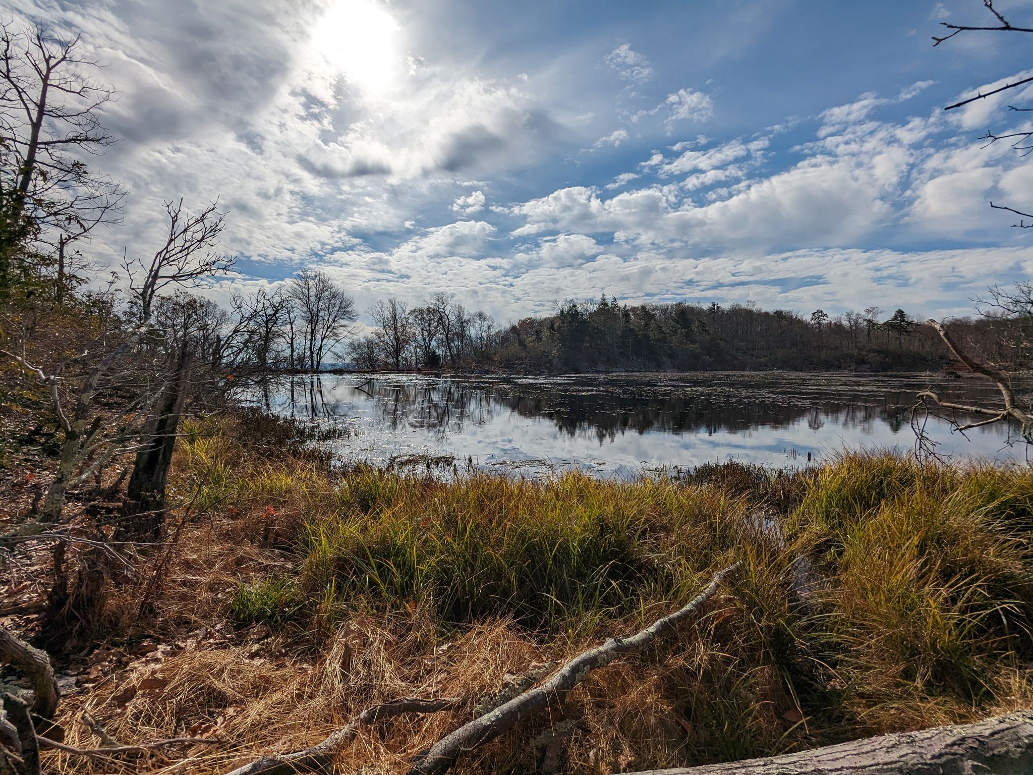Calm lake reflecting bright sky, surrounded by bare trees and tall grasses. - AMC Mohican Outdoor Center – Catfish Fire Tower loop from Blue Mountain Lake