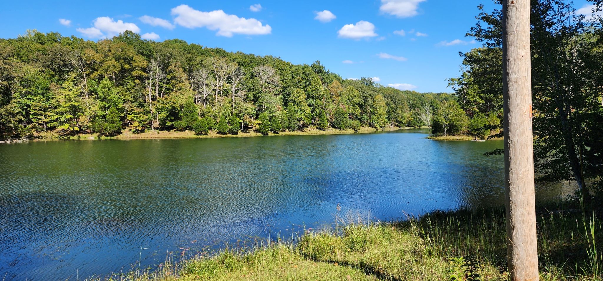 A wide lake surrounded by green trees, with a utility pole in the foreground. - Montgomery Bell North Loop