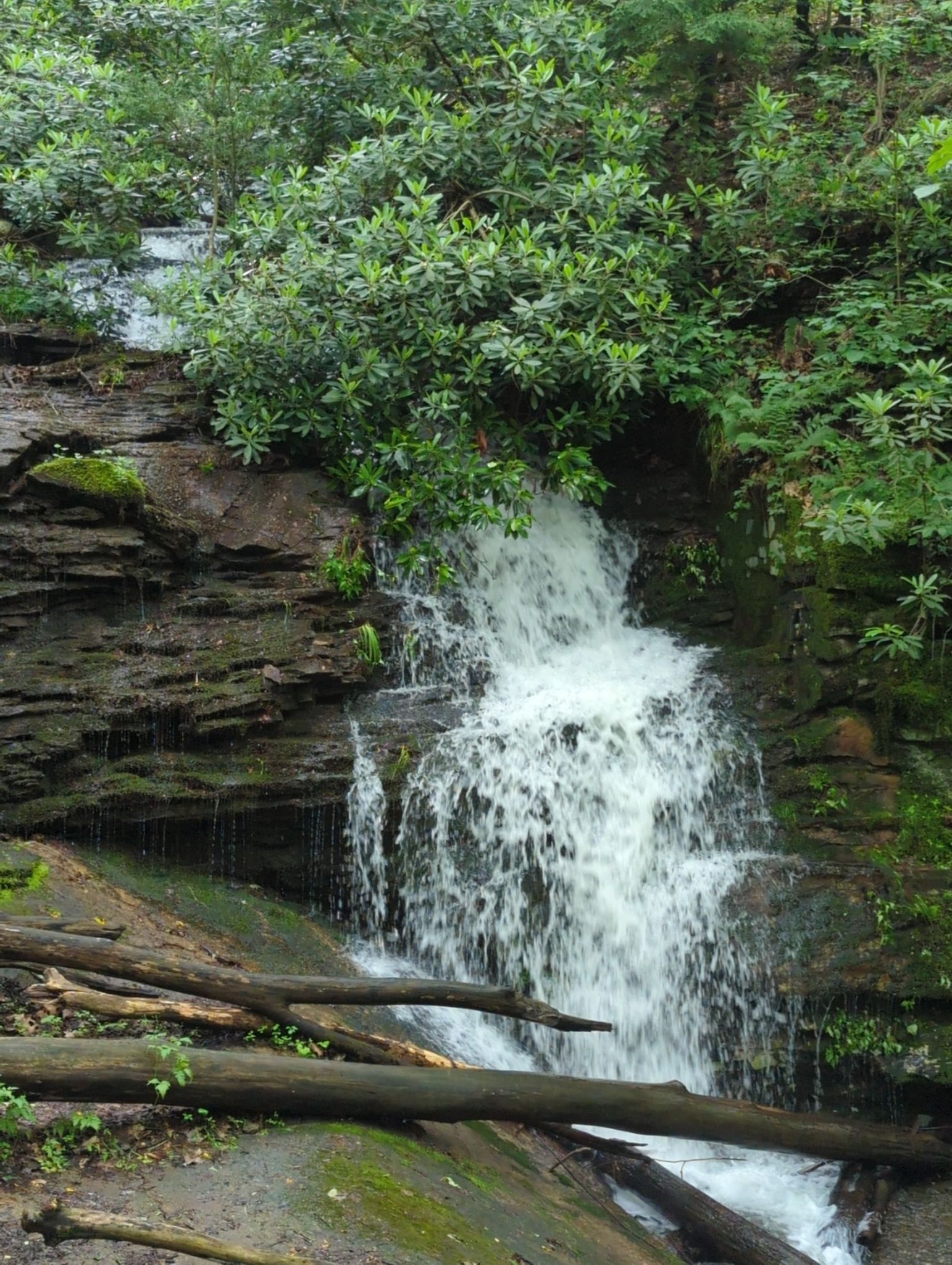 Waterfall cascading over rocks into a stream, surrounded by green plants. - Kentuck and Jonathan Run Trail Loop