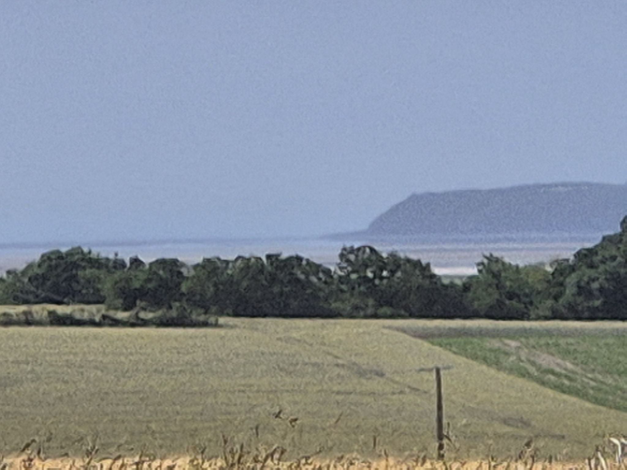 land