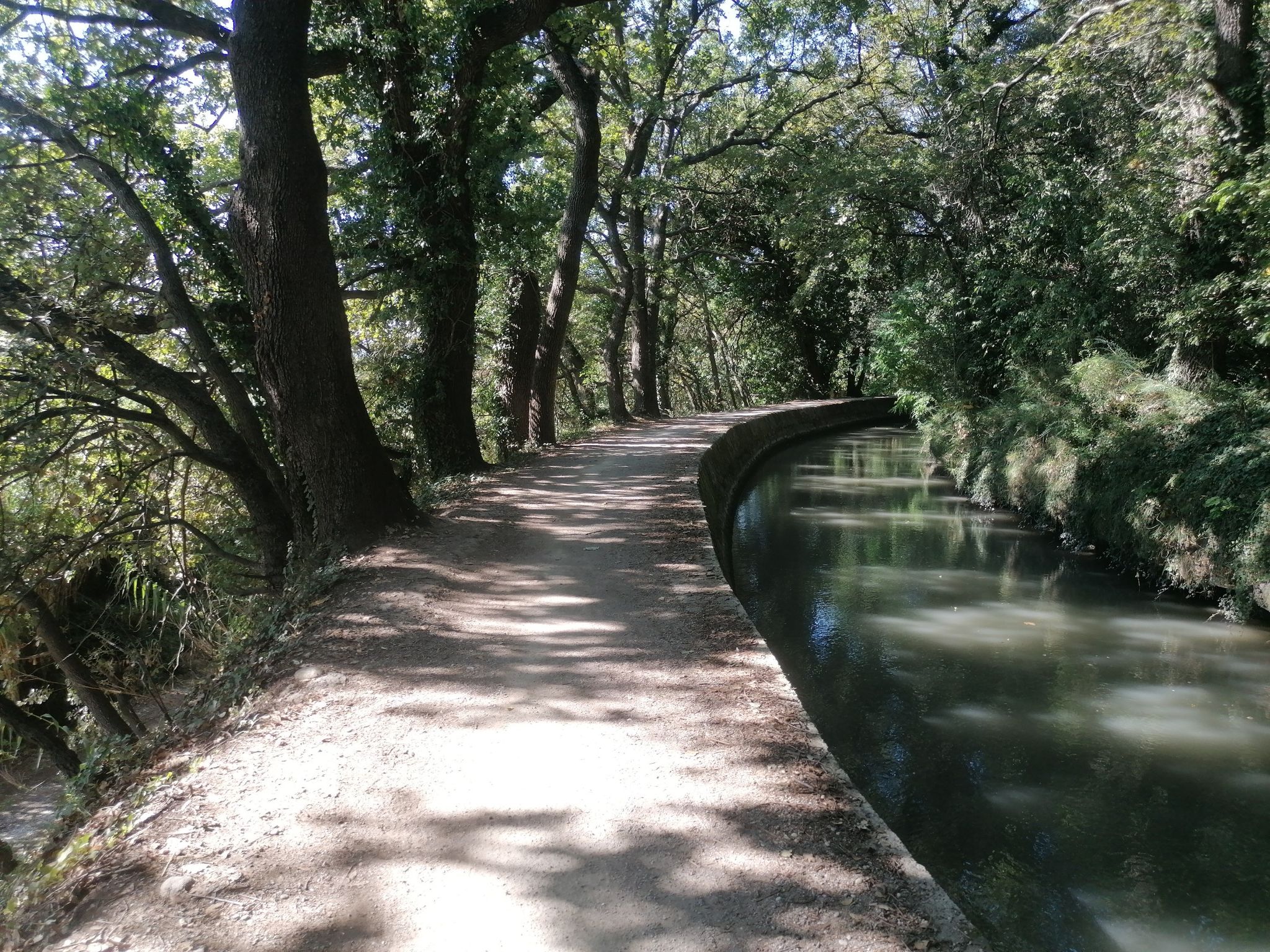 Le long du canal de Cadenet